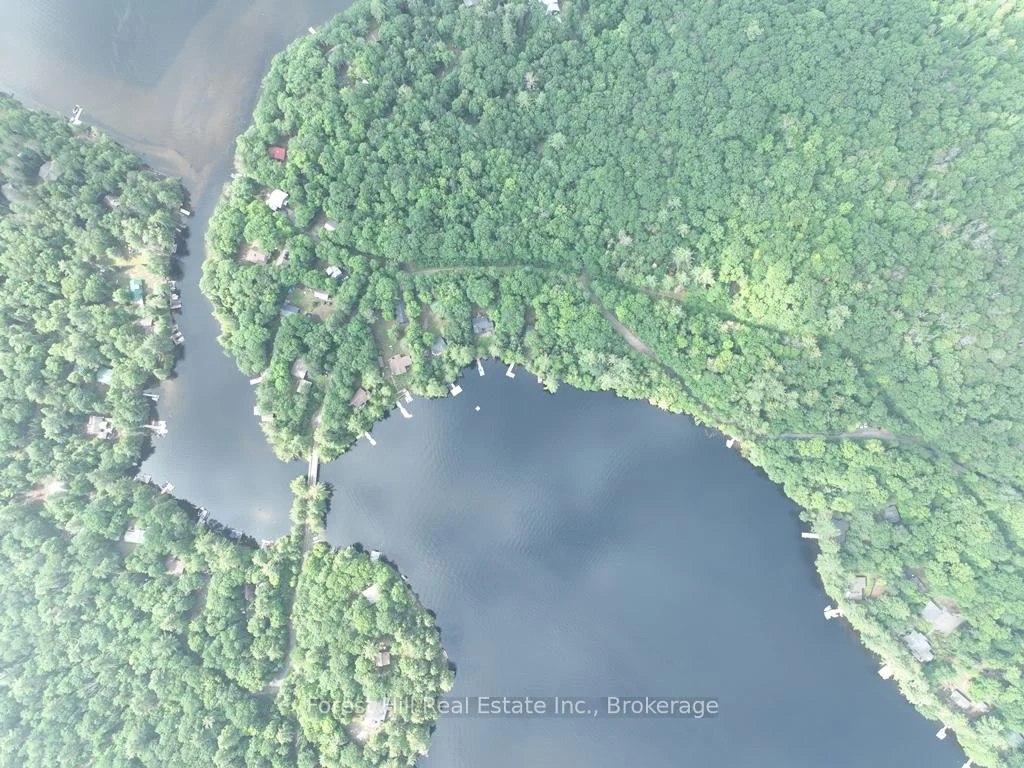 Photo 46 of Bear Lake Road, Algonquin Highlands, Livingstone — HOMEH