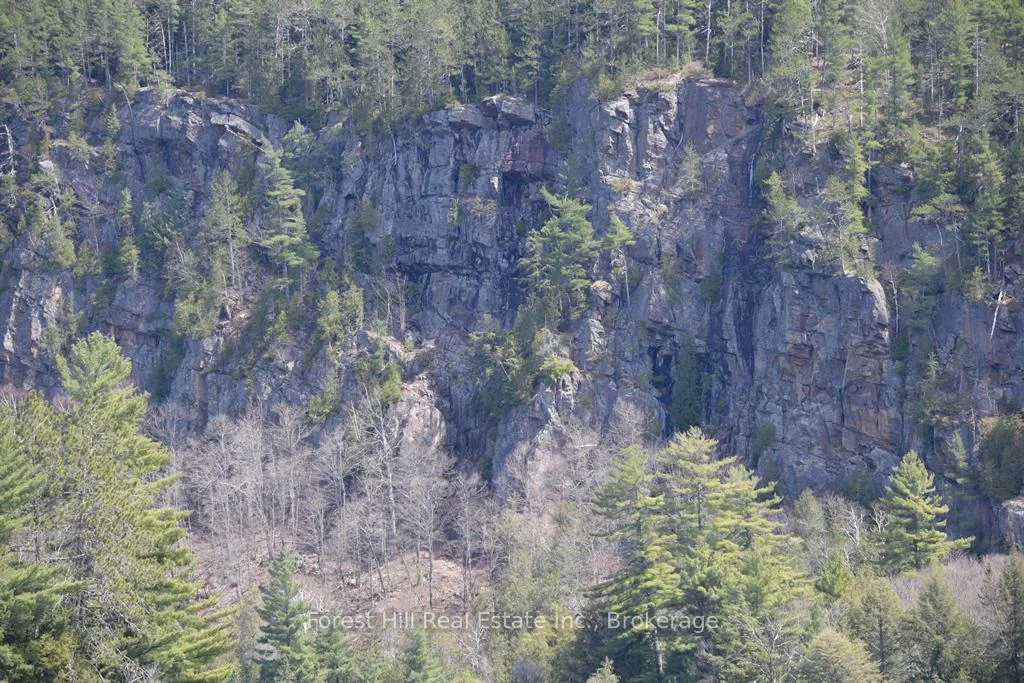 Photo 56 of Bear Lake Road, Algonquin Highlands, Livingstone — HOMEH