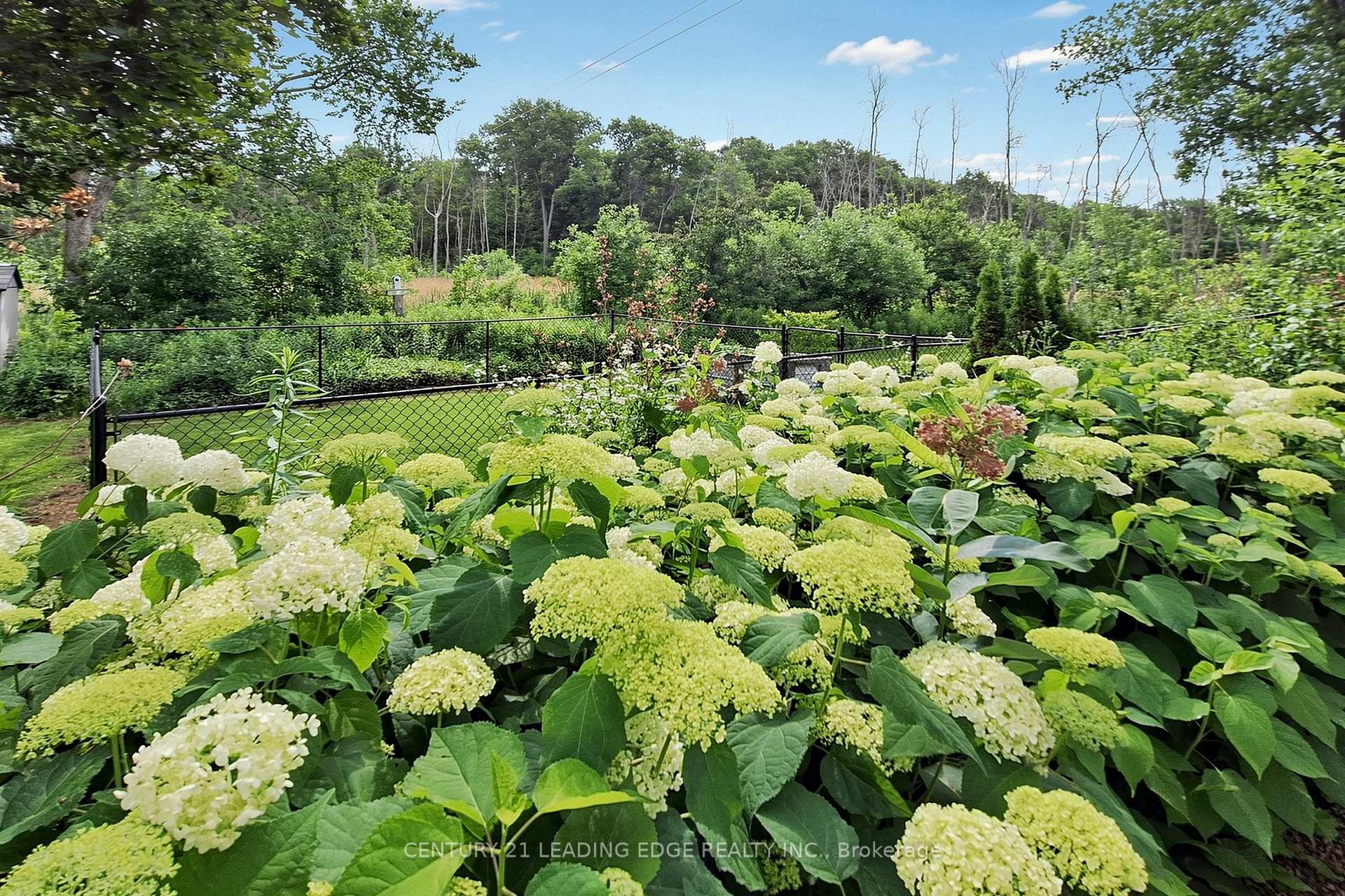 Photo 13 of 134 C Mudcat Road, Belleville, Thurlow Ward — HOMEH