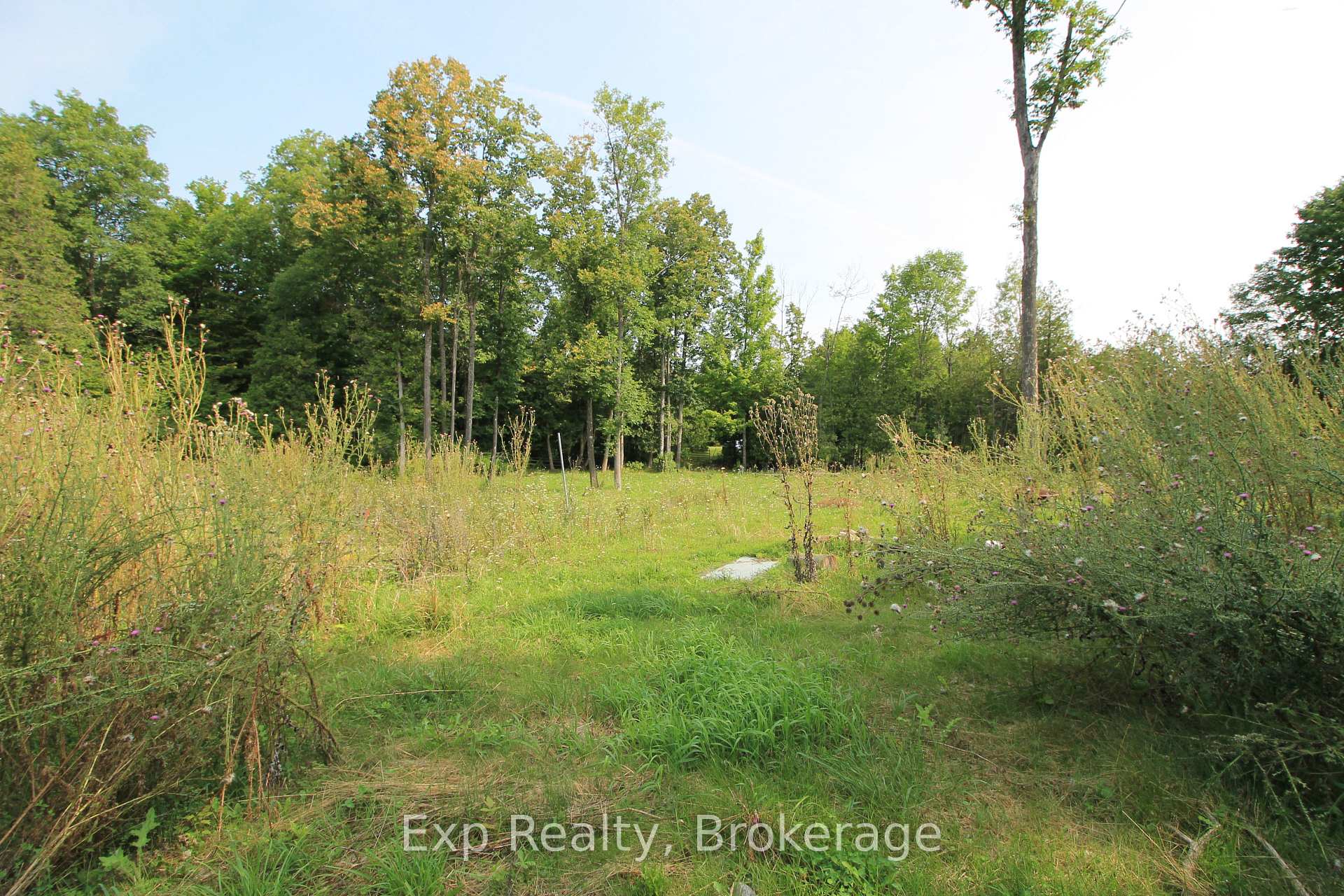 Photo 9 of 6906 Highway 41, Stone Mills, Stone Mills — HOMEH