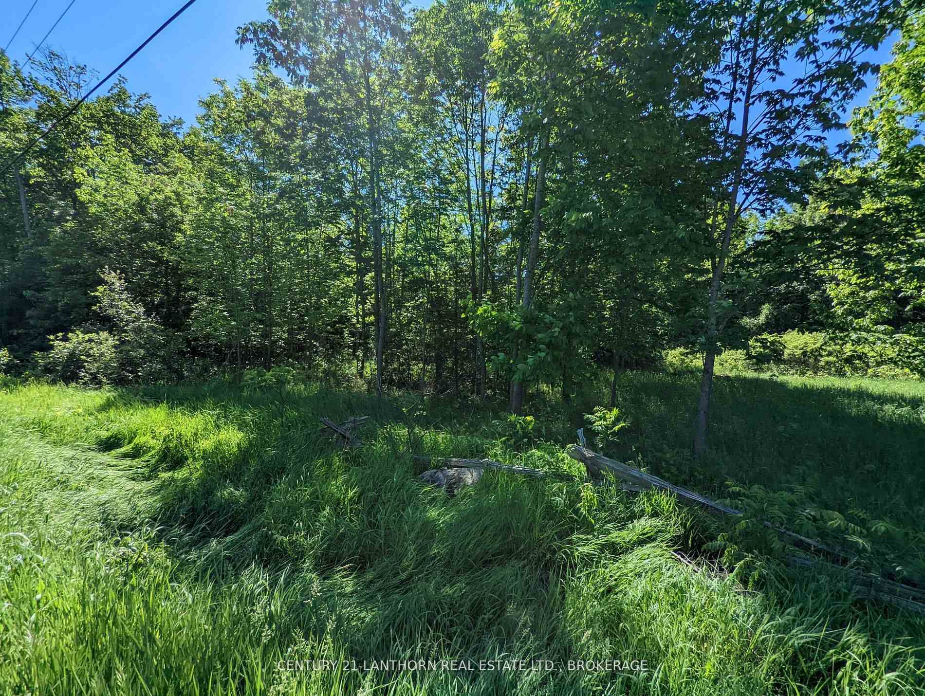 Photo 11 of Pine Grove Road, Greater Napanee, Greater Napanee — HOMEH