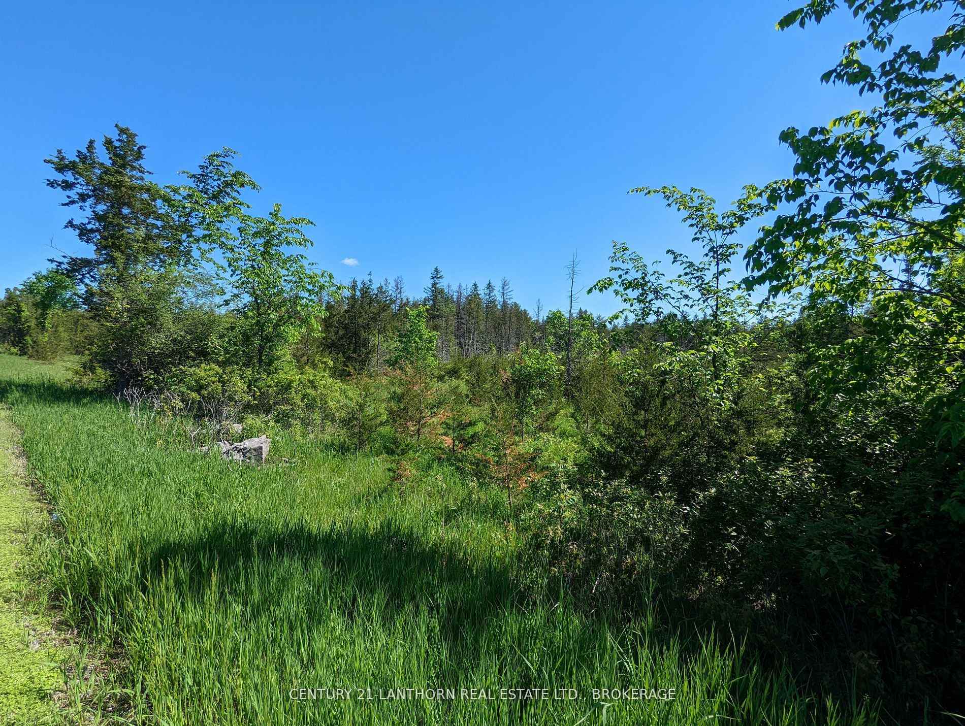 Photo 14 of Pine Grove Road, Greater Napanee, Greater Napanee — HOMEH