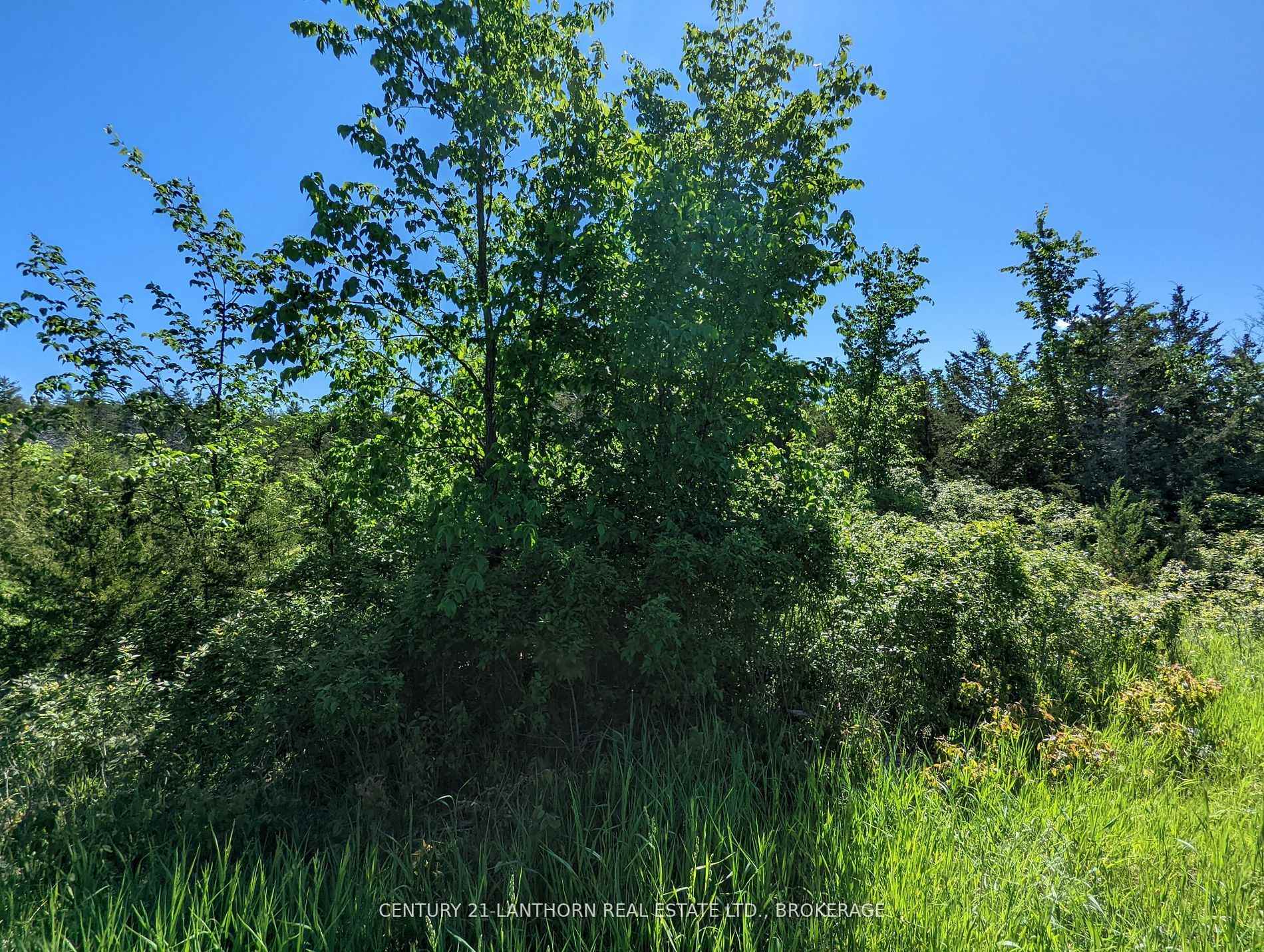 Photo 16 of Pine Grove Road, Greater Napanee, Greater Napanee — HOMEH