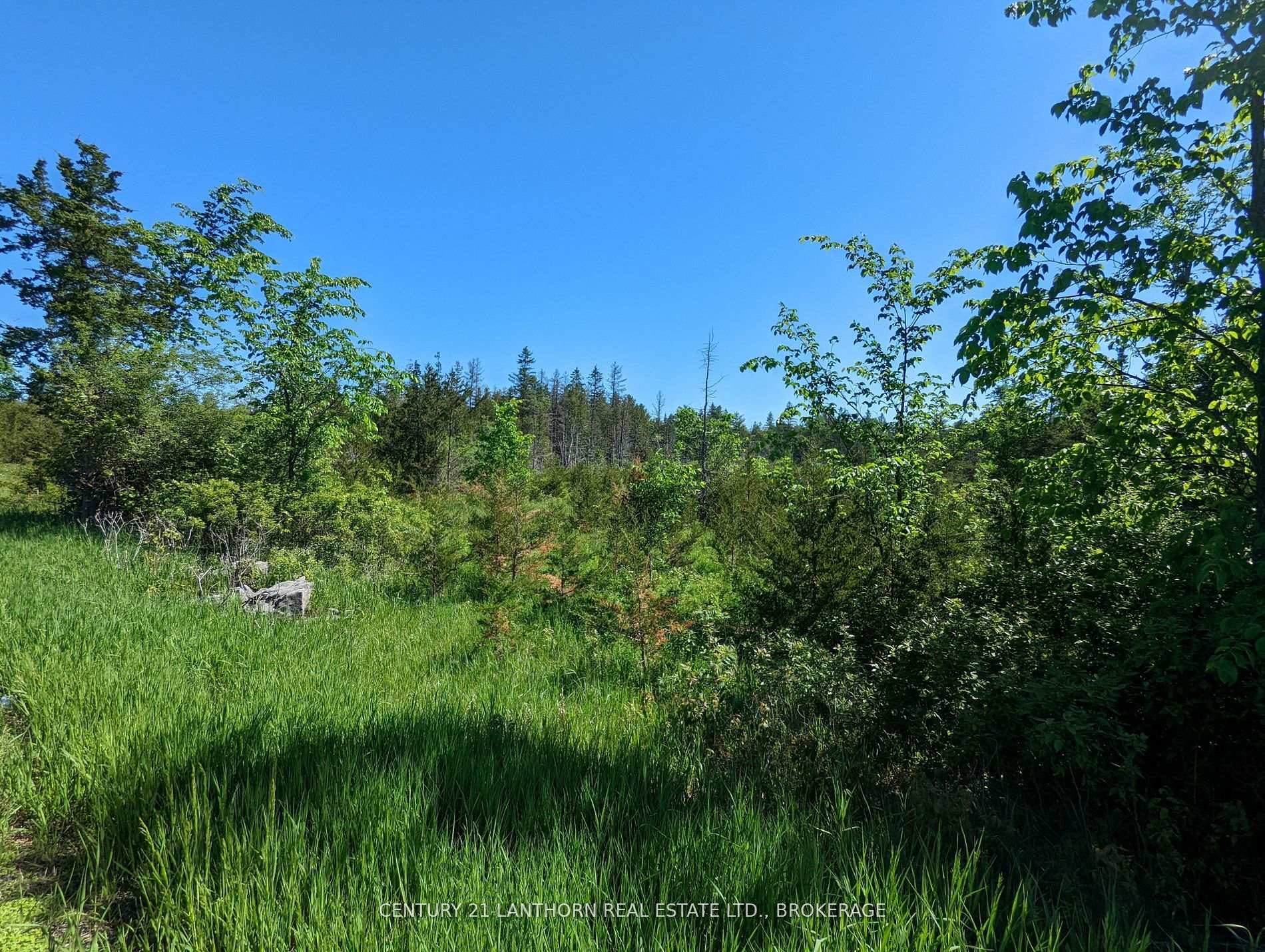 Photo 18 of Pine Grove Road, Greater Napanee, Greater Napanee — HOMEH
