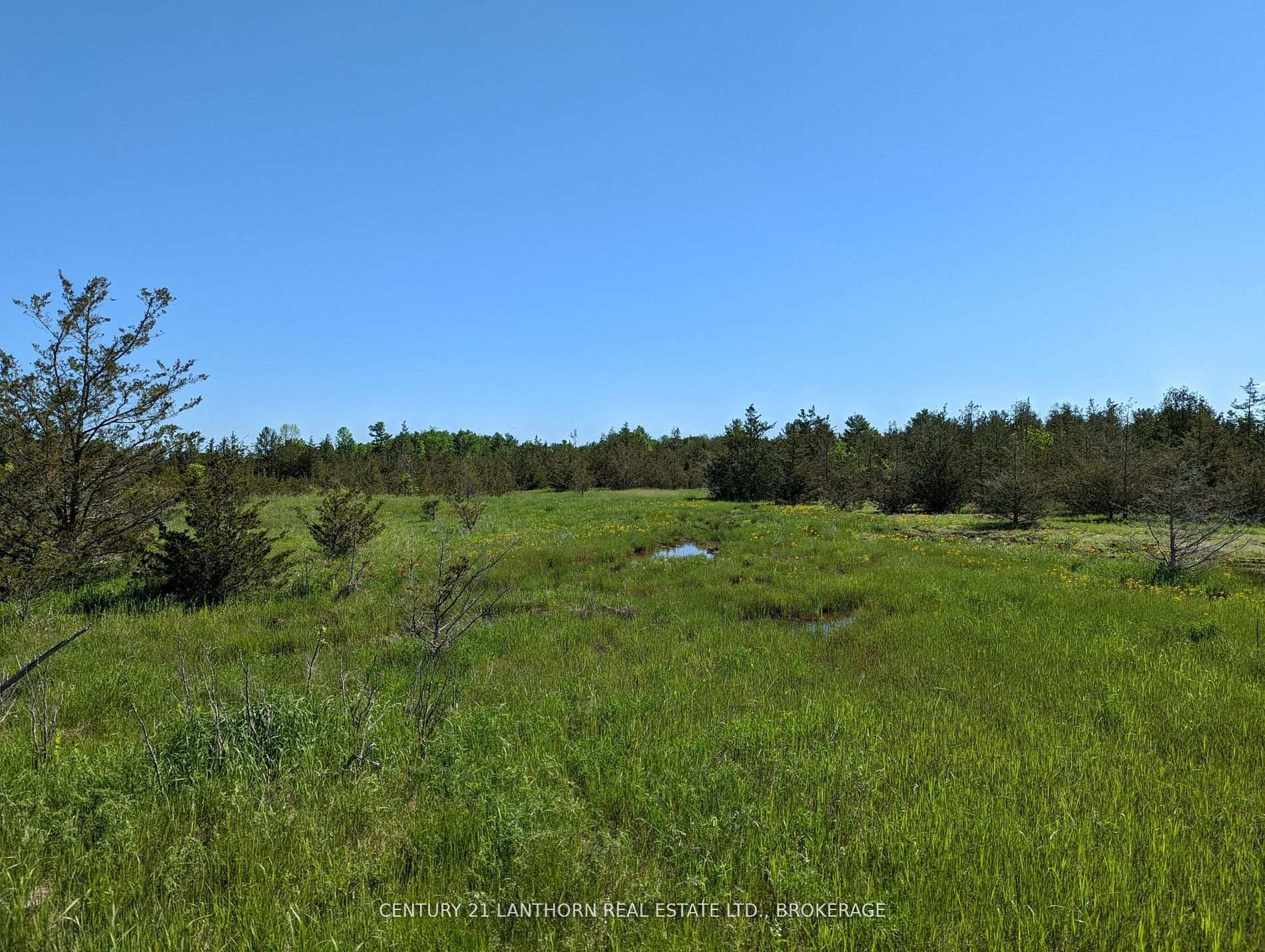 Photo 23 of Pine Grove Road, Greater Napanee, Greater Napanee — HOMEH