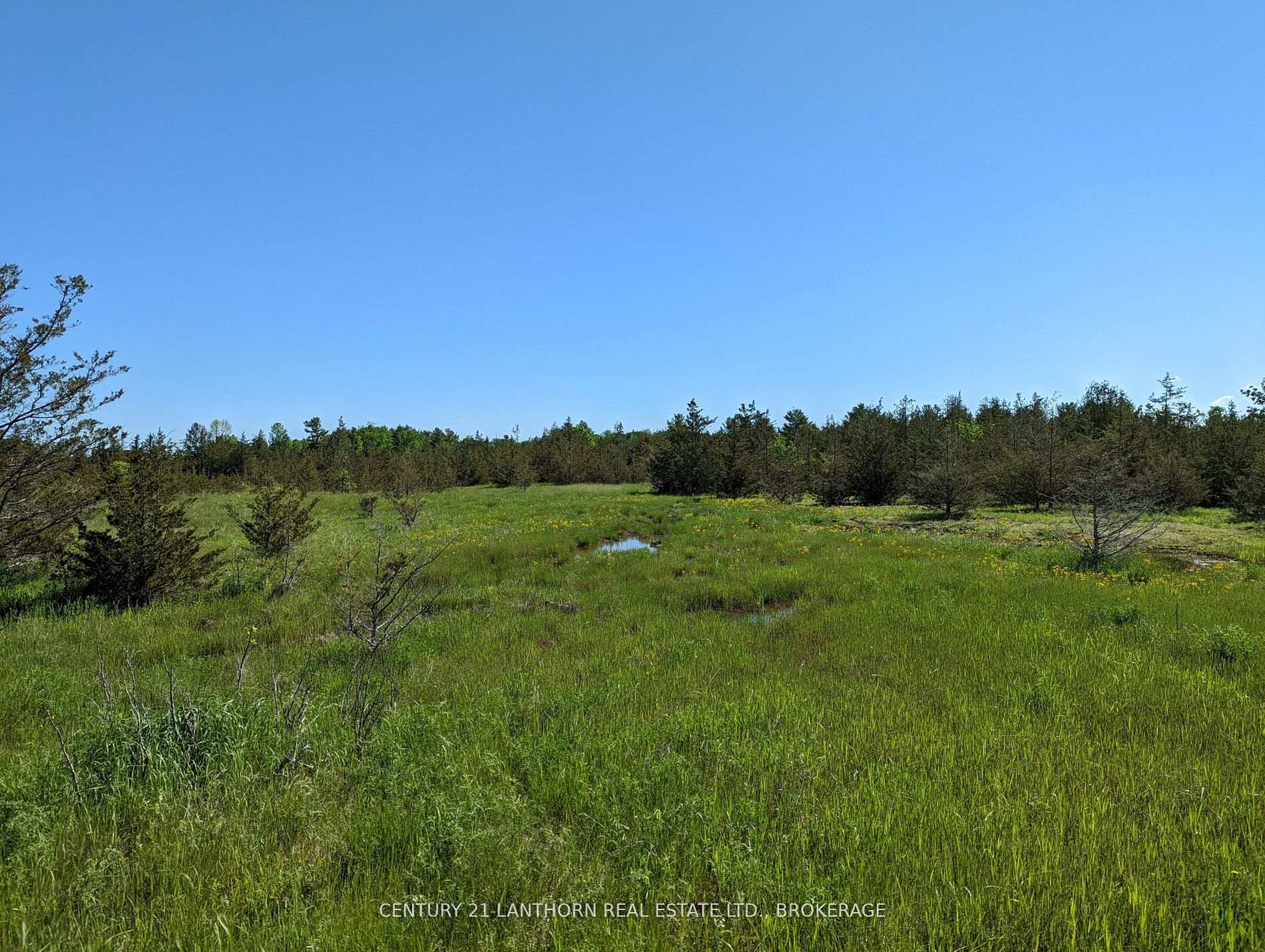 Photo 24 of Pine Grove Road, Greater Napanee, Greater Napanee — HOMEH