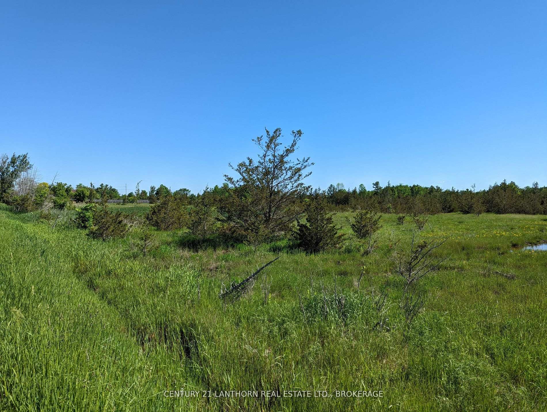 Photo 25 of Pine Grove Road, Greater Napanee, Greater Napanee — HOMEH