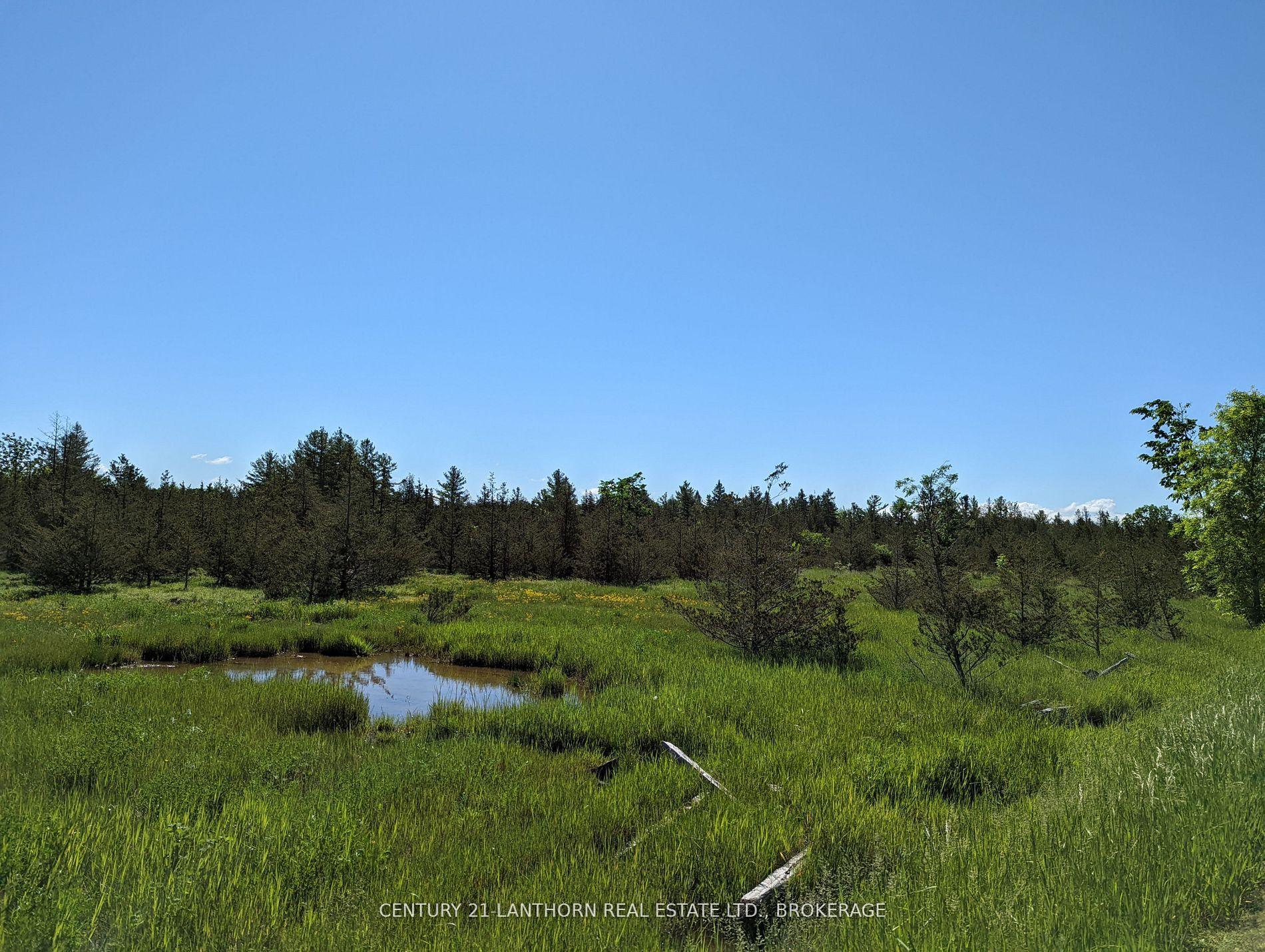 Photo 26 of Pine Grove Road, Greater Napanee, Greater Napanee — HOMEH