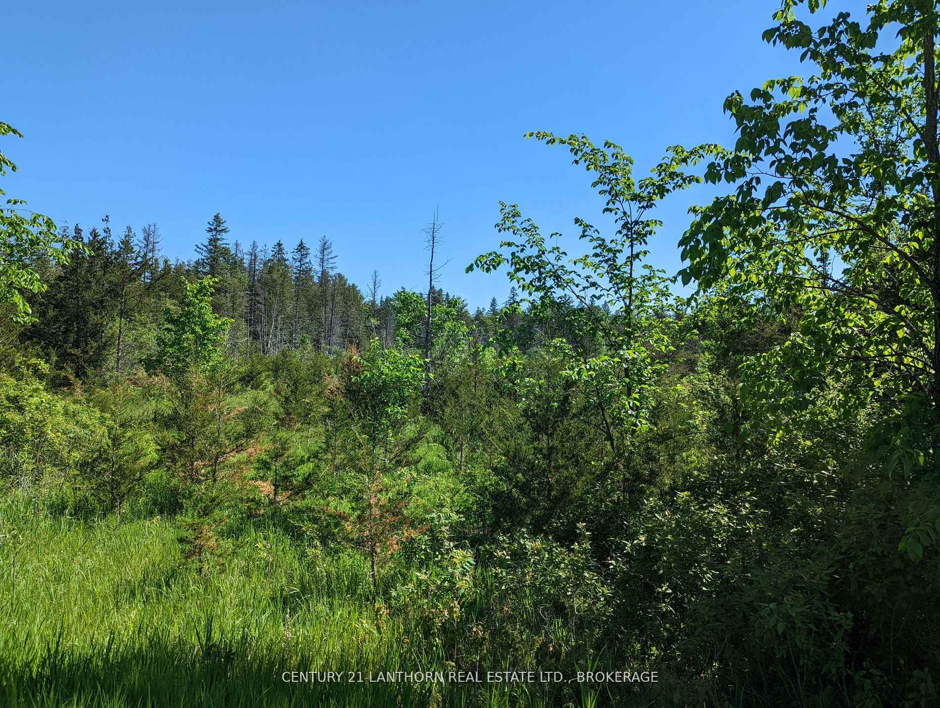 Photo 27 of Pine Grove Road, Greater Napanee, Greater Napanee — HOMEH