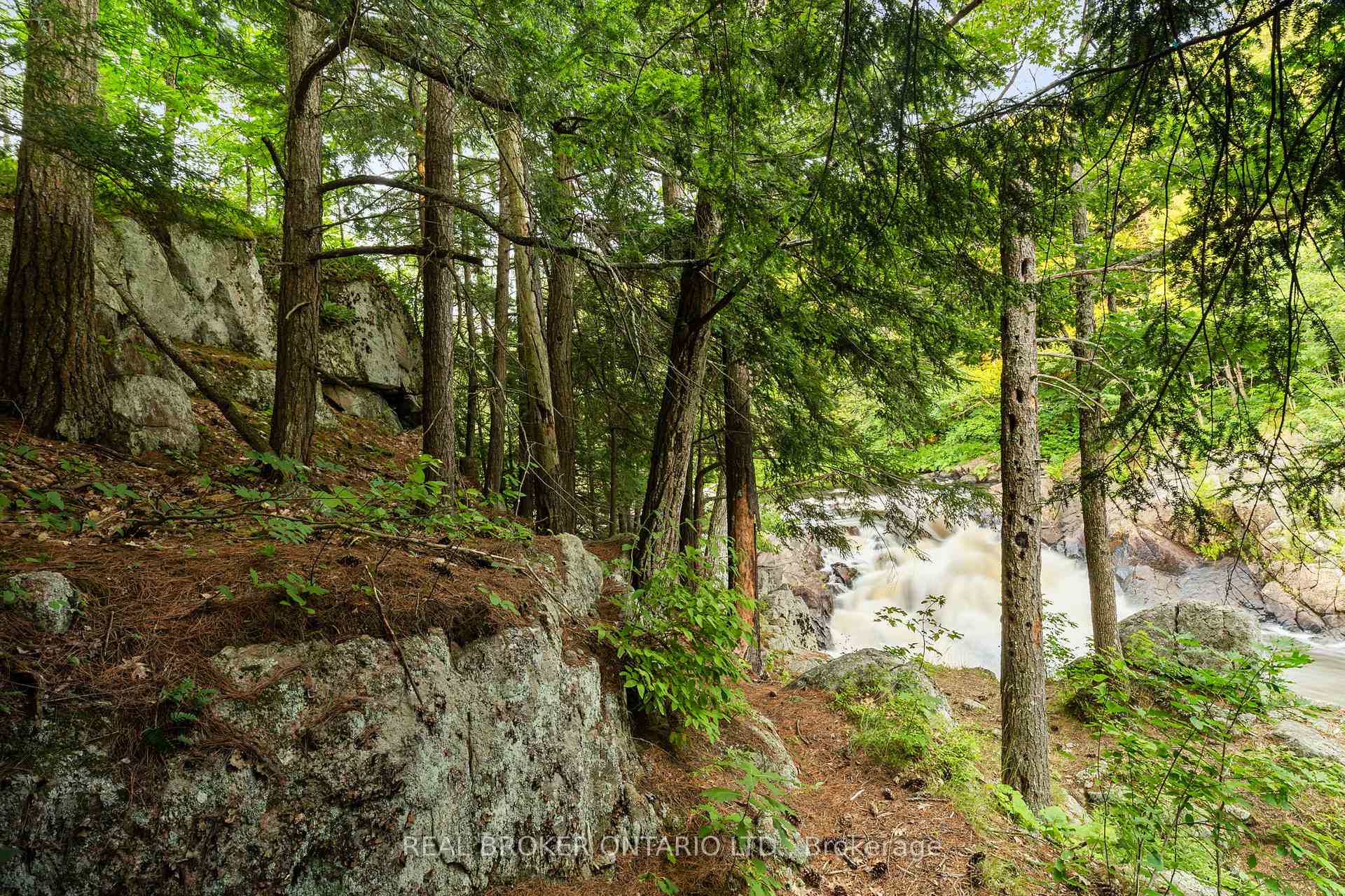 Photo 10 of 1401 Coopers Falls Road, Ramara, Rural Ramara — HOMEH