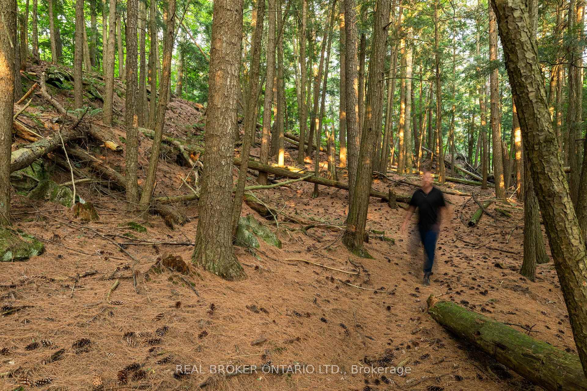 Photo 14 of 1401 Coopers Falls Road, Ramara, Rural Ramara — HOMEH