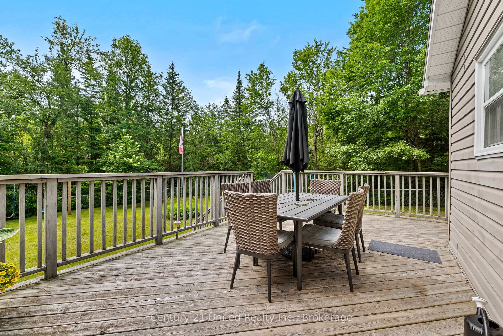 Photo 43 of 31 River Street, North Kawartha — HOMEH