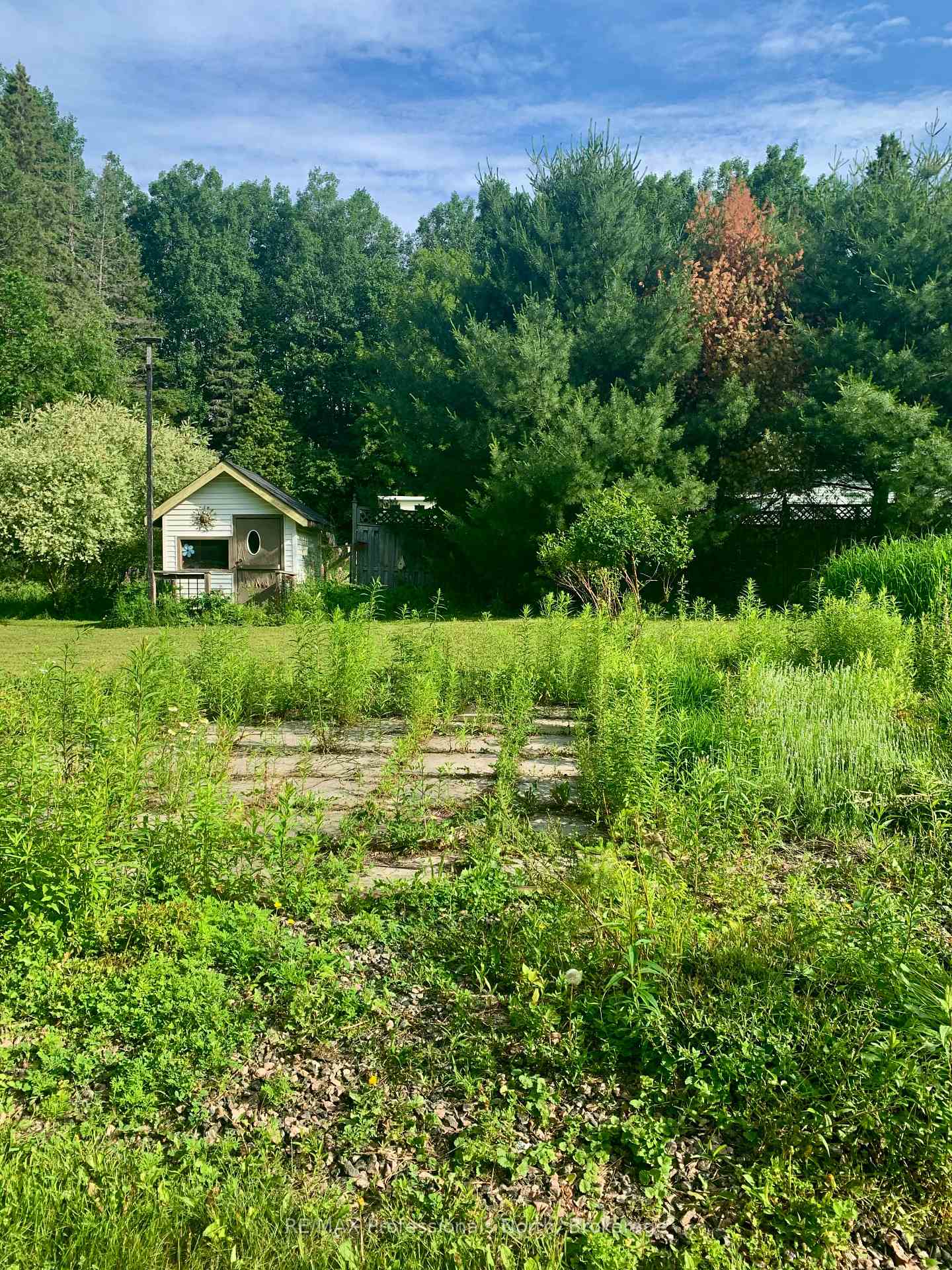 Photo 14 of 2075 Wigamog Road, Dysart et al, Dysart — HOMEH