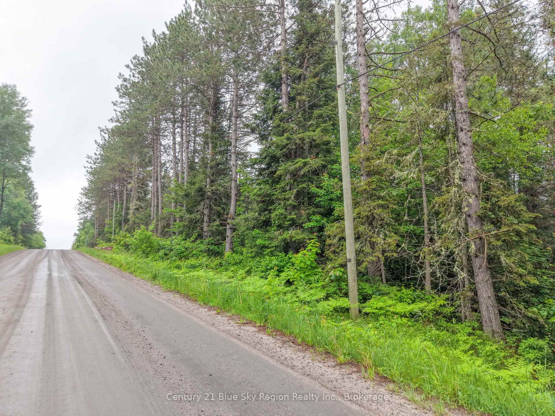 Front of 0 Con 12 Pt Lot 11 Pearceley Road
