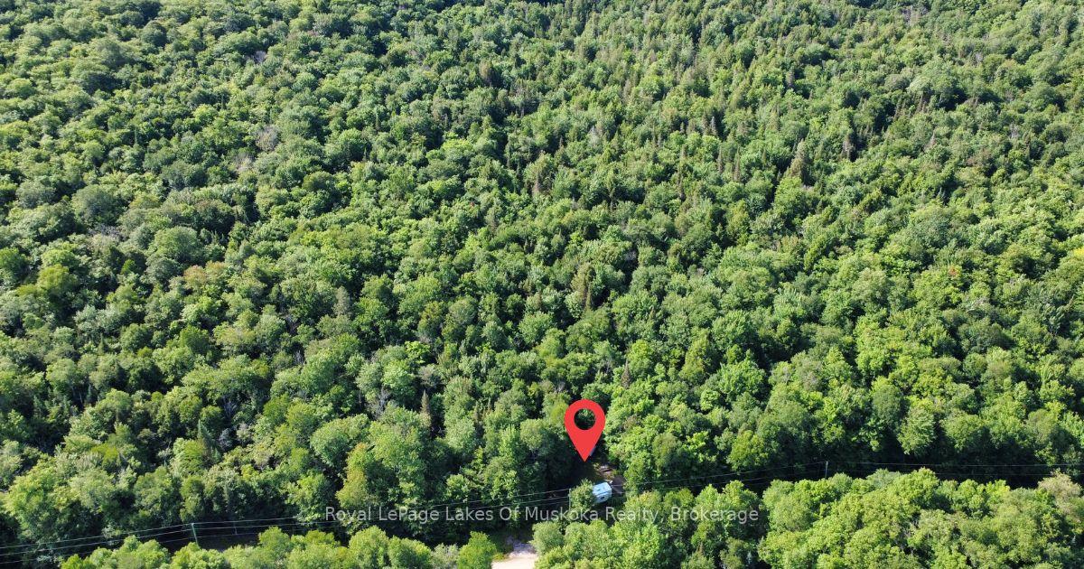 Photo 10 of 849 Hamilton Lake Road, Machar — HOMEH