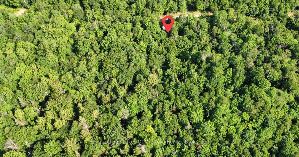 Photo 11 of 849 Hamilton Lake Road, Machar — HOMEH