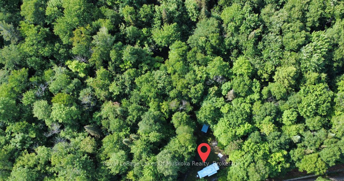Photo 12 of 849 Hamilton Lake Road, Machar — HOMEH