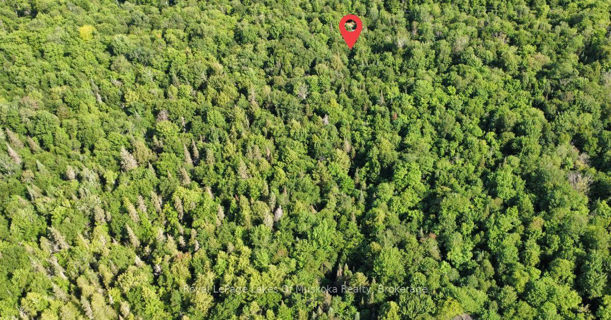 Photo 13 of 849 Hamilton Lake Road, Machar — HOMEH
