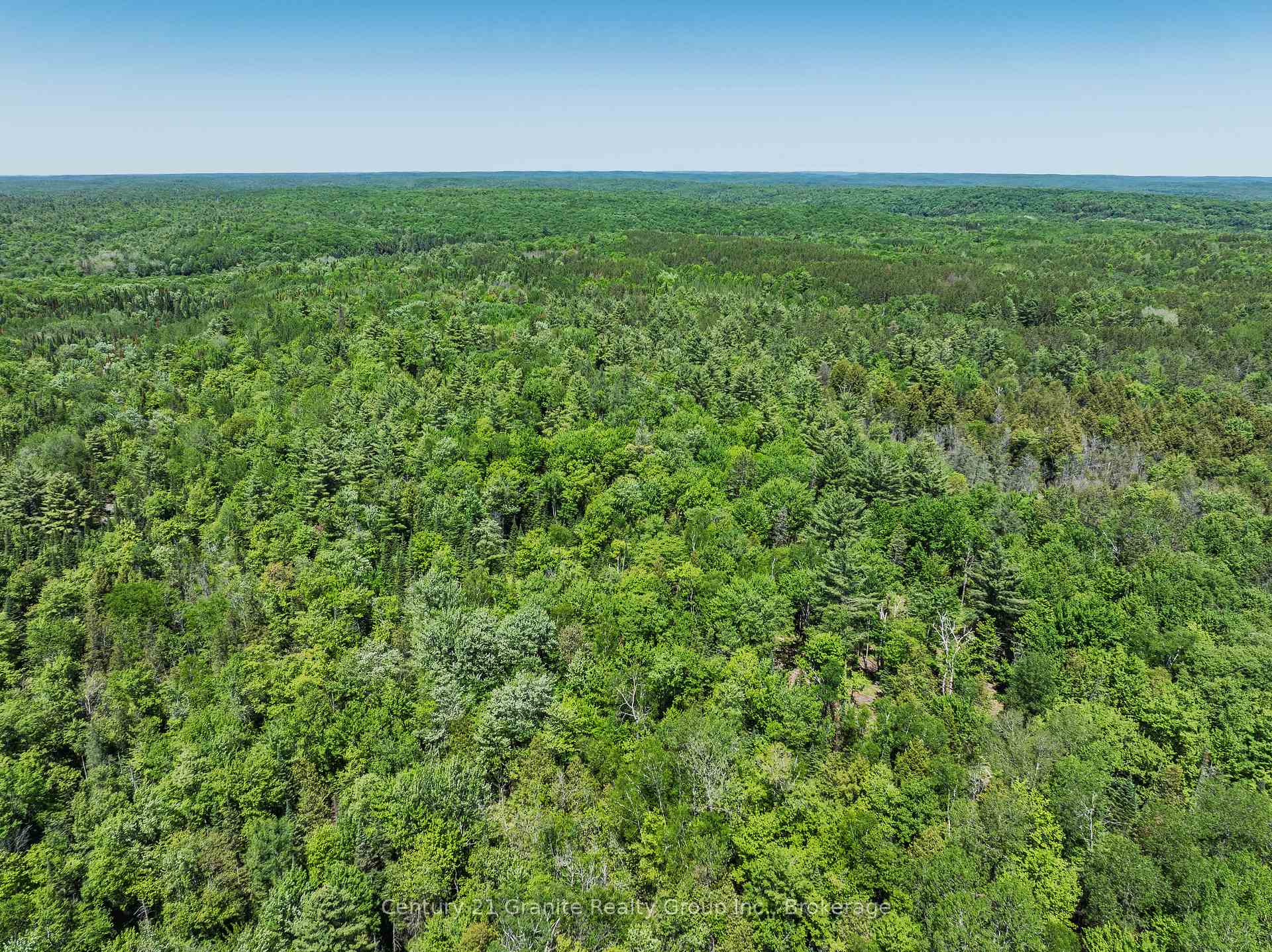 Photo 5 of Brady Lake Road, Algonquin Highlands, Stanhope — HOMEH