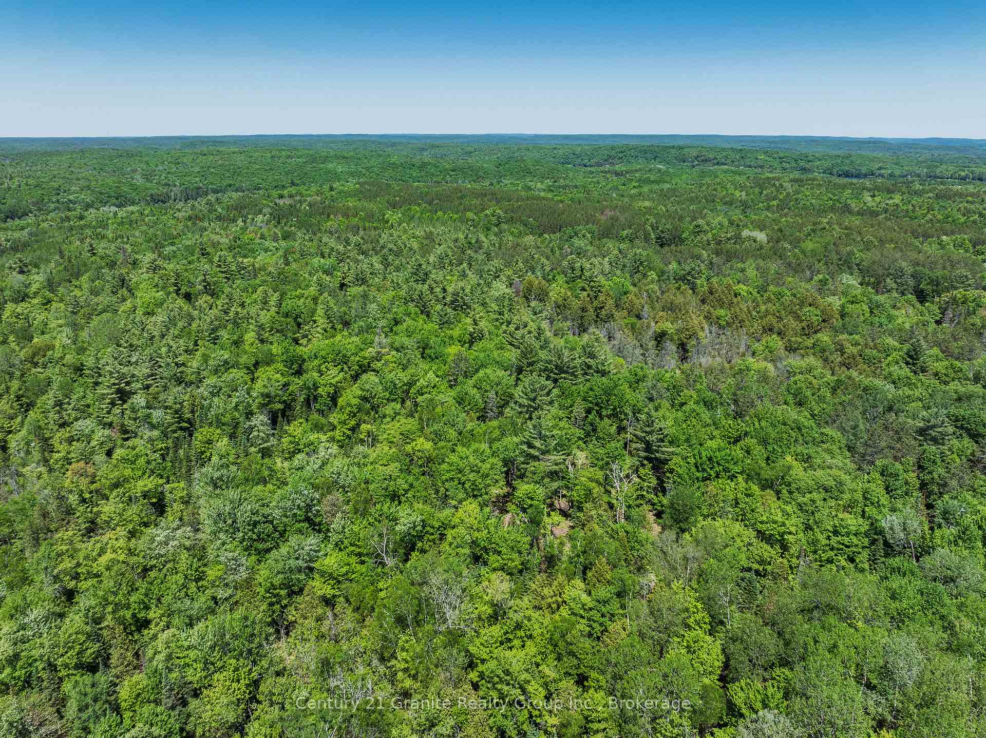 Photo 6 of Brady Lake Road, Algonquin Highlands, Stanhope — HOMEH
