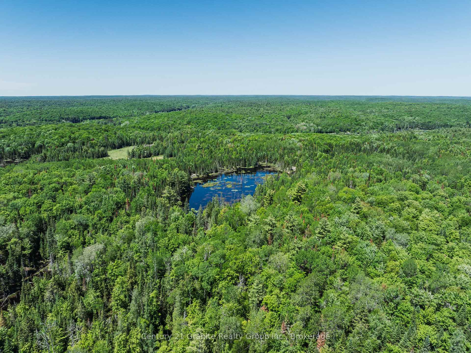Photo 8 of Brady Lake Road, Algonquin Highlands, Stanhope — HOMEH