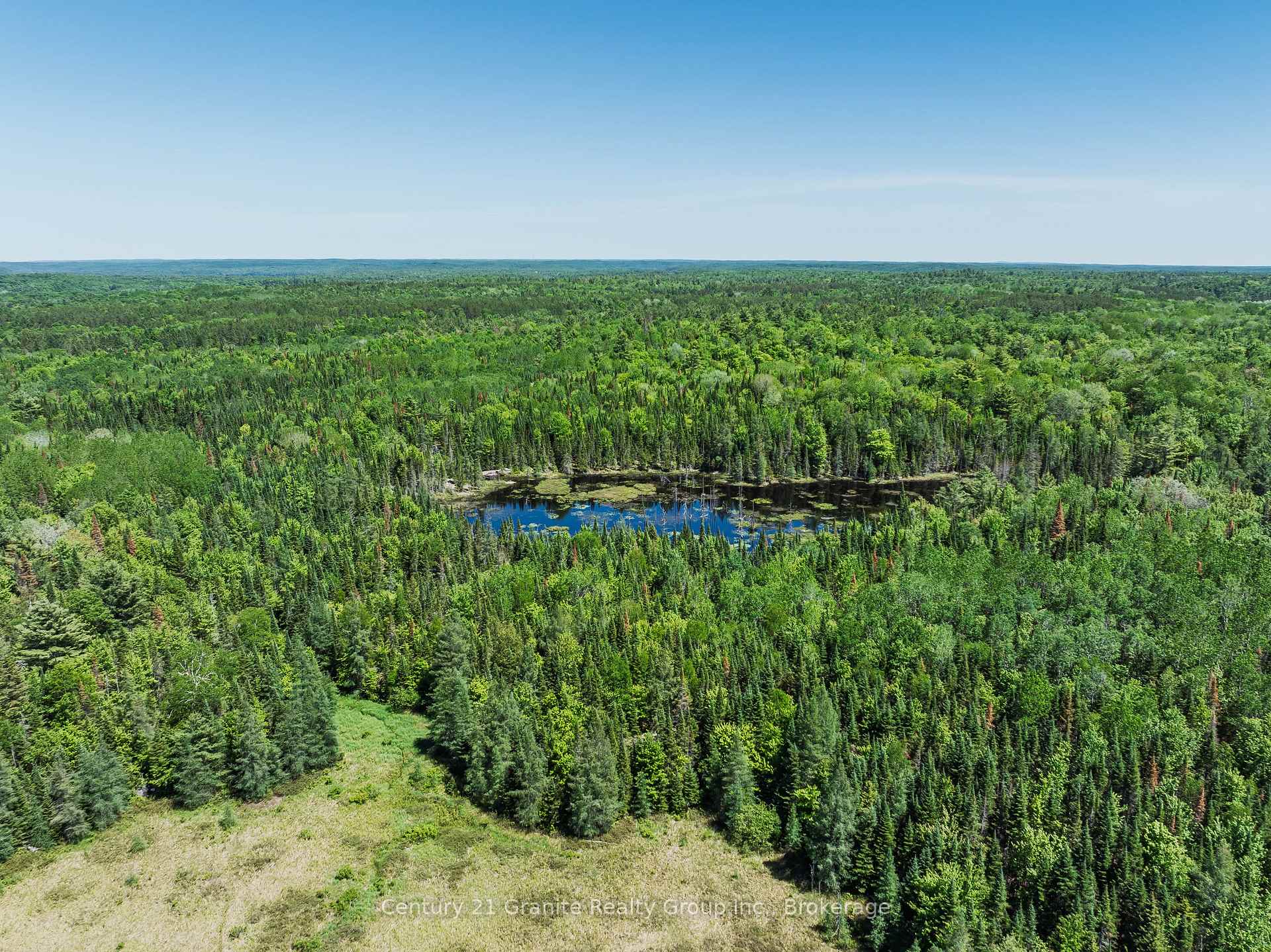 Photo 9 of Brady Lake Road, Algonquin Highlands, Stanhope — HOMEH