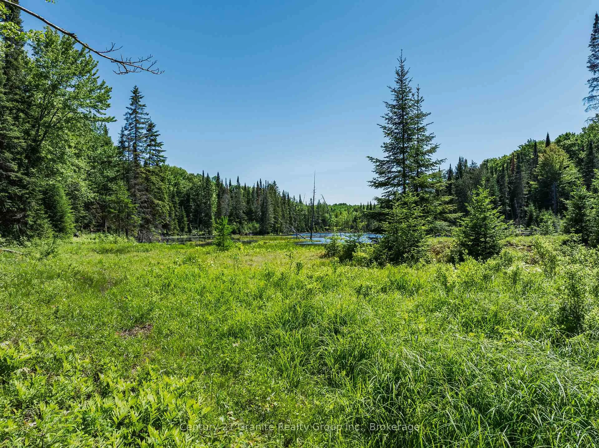 Photo 45 of Brady Lake Road, Algonquin Highlands, Stanhope — HOMEH