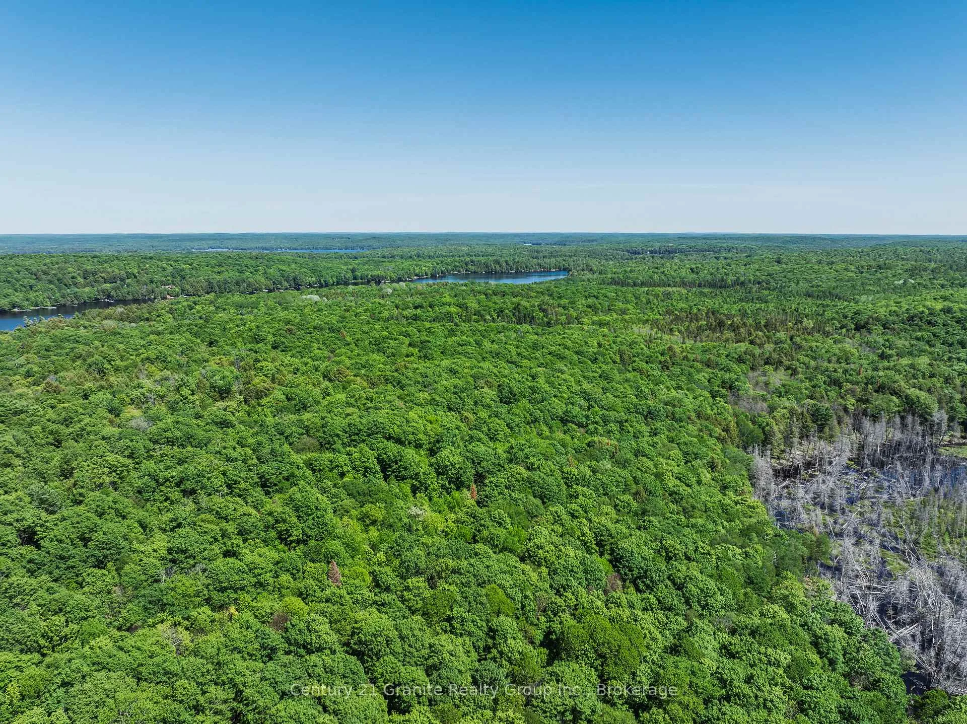 Photo 48 of Brady Lake Road, Algonquin Highlands, Stanhope — HOMEH