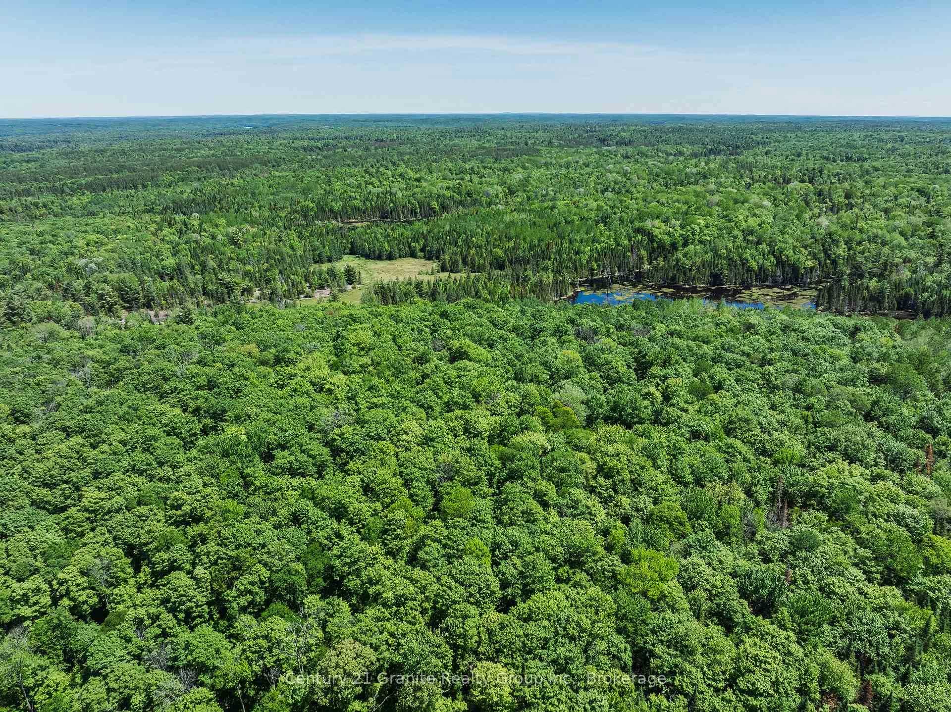 Photo 58 of Brady Lake Road, Algonquin Highlands, Stanhope — HOMEH