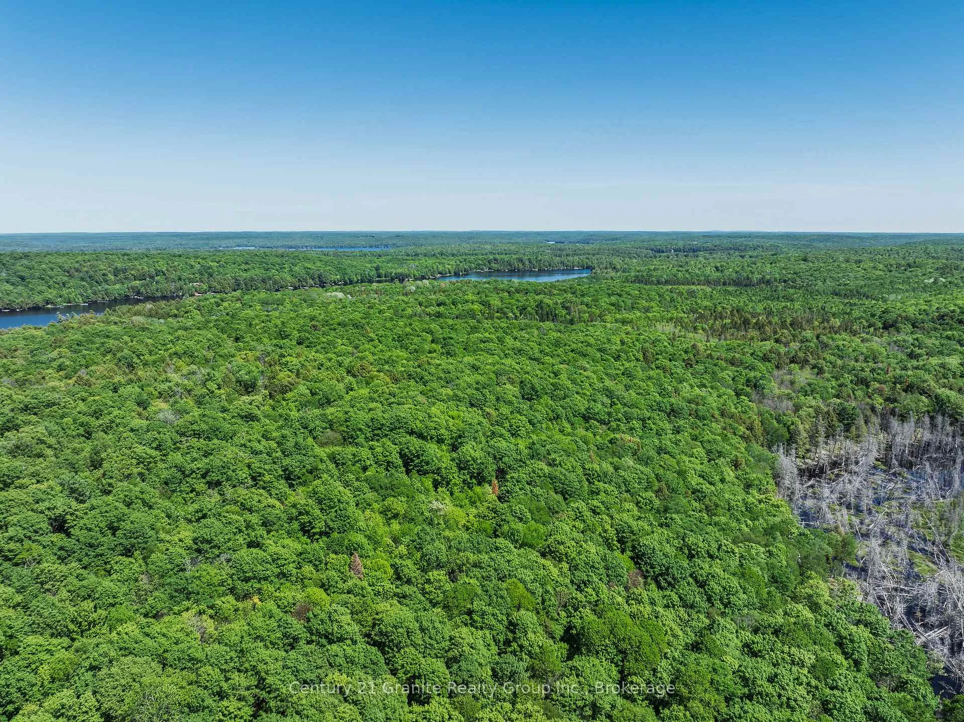 Photo 61 of Brady Lake Road, Algonquin Highlands, Stanhope — HOMEH