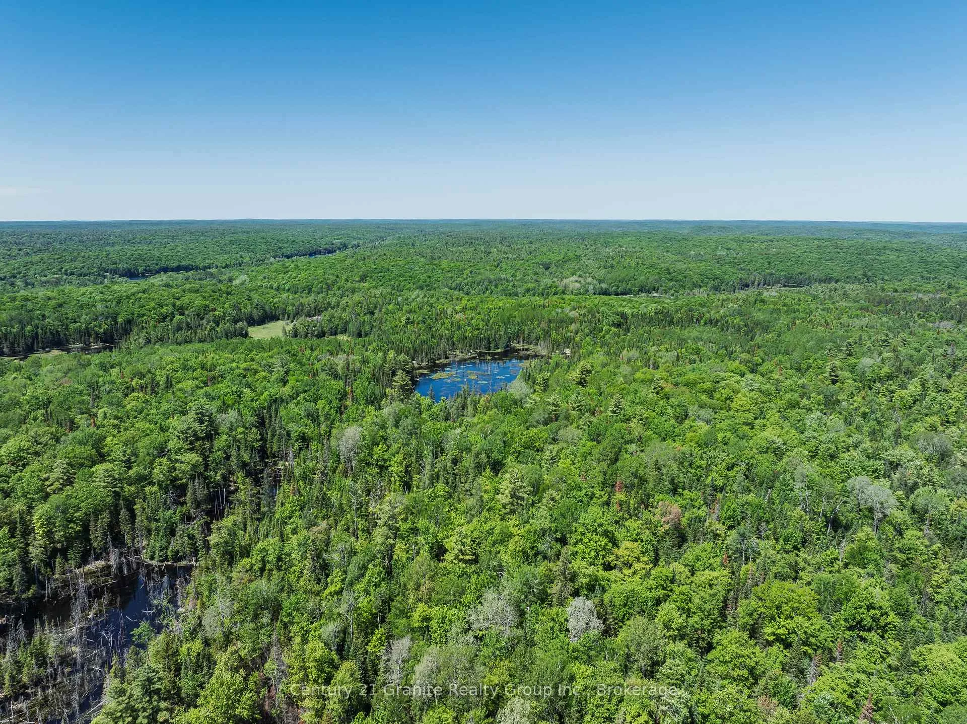 Photo 66 of Brady Lake Road, Algonquin Highlands, Stanhope — HOMEH