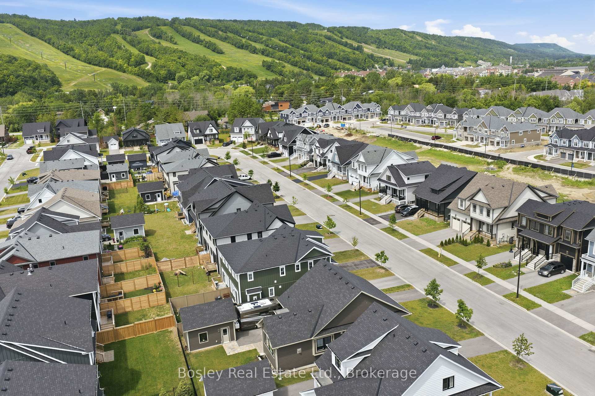 Photo 5 of 115 Black Willow Crescent, Blue Mountains — HOMEH