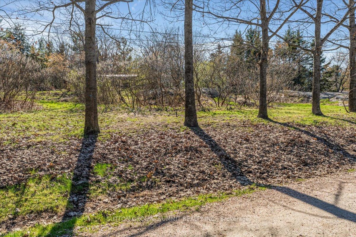 Photo 10 of 49 Pineridge Drive, McDougall — HOMEH