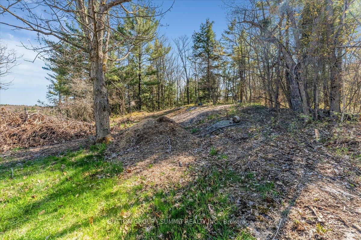 Photo 14 of 49 Pineridge Drive, McDougall — HOMEH