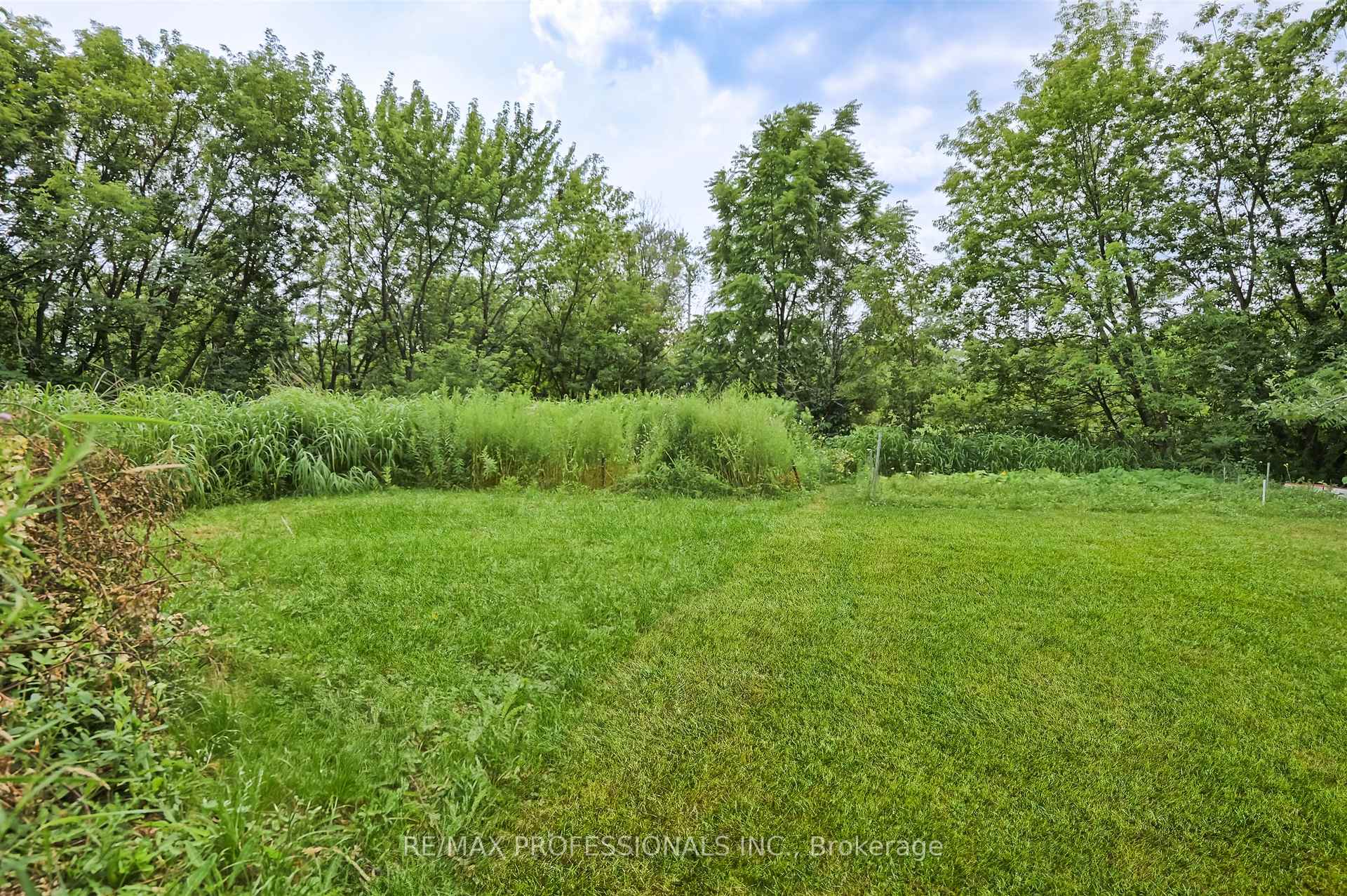 Photo 17 of Unit Bsmt, 1026 Haig Boulevard, Mississauga, Lakeview — HOMEH