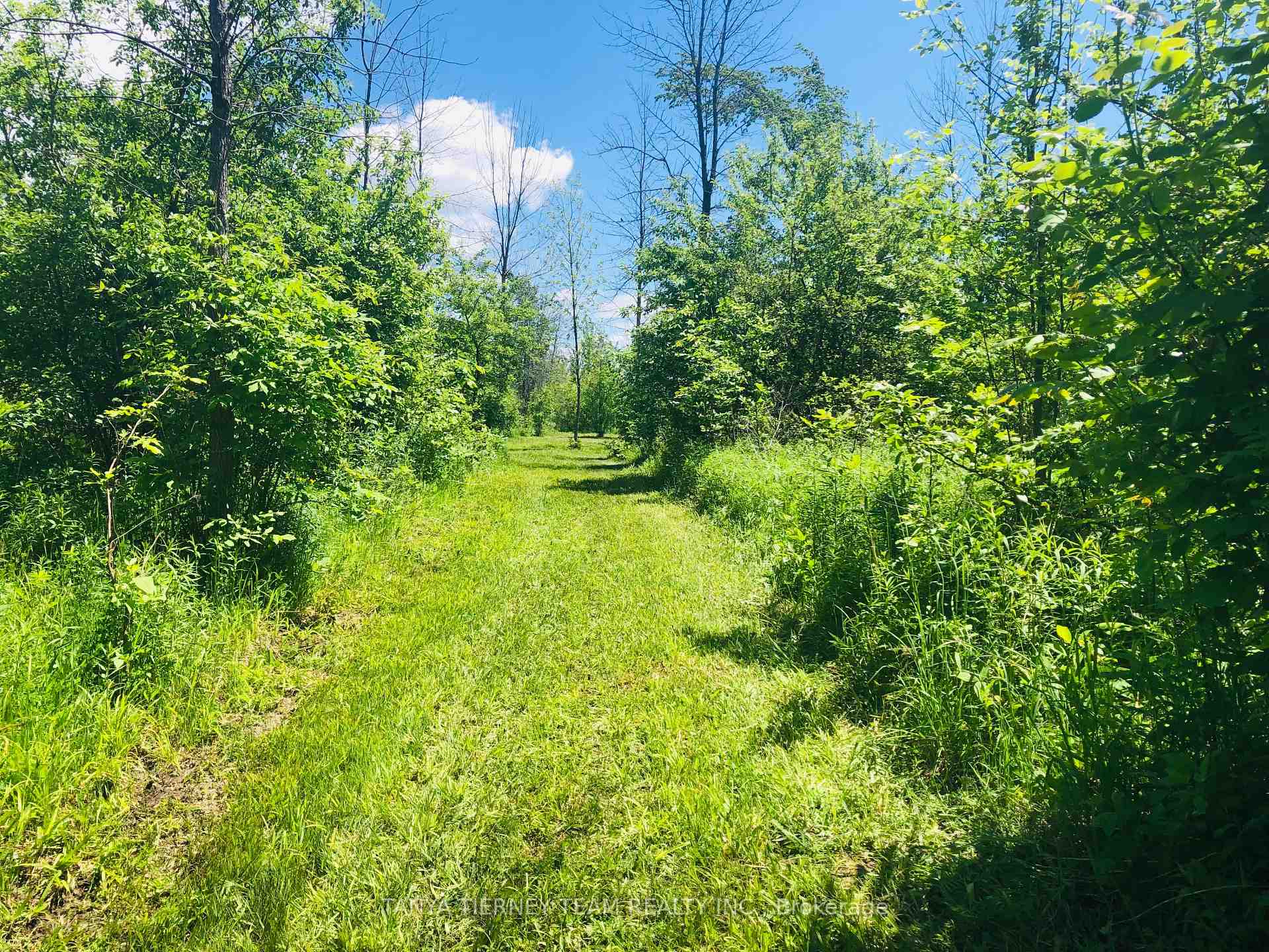Photo 41 of 2640 Concession 8 Road, Ramara, Brechin — HOMEH