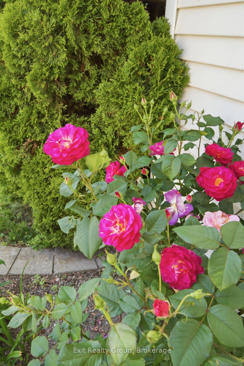 Photo 44 of 45 Heritage Drive, Prince Edward County, Wellington Ward — HOMEH