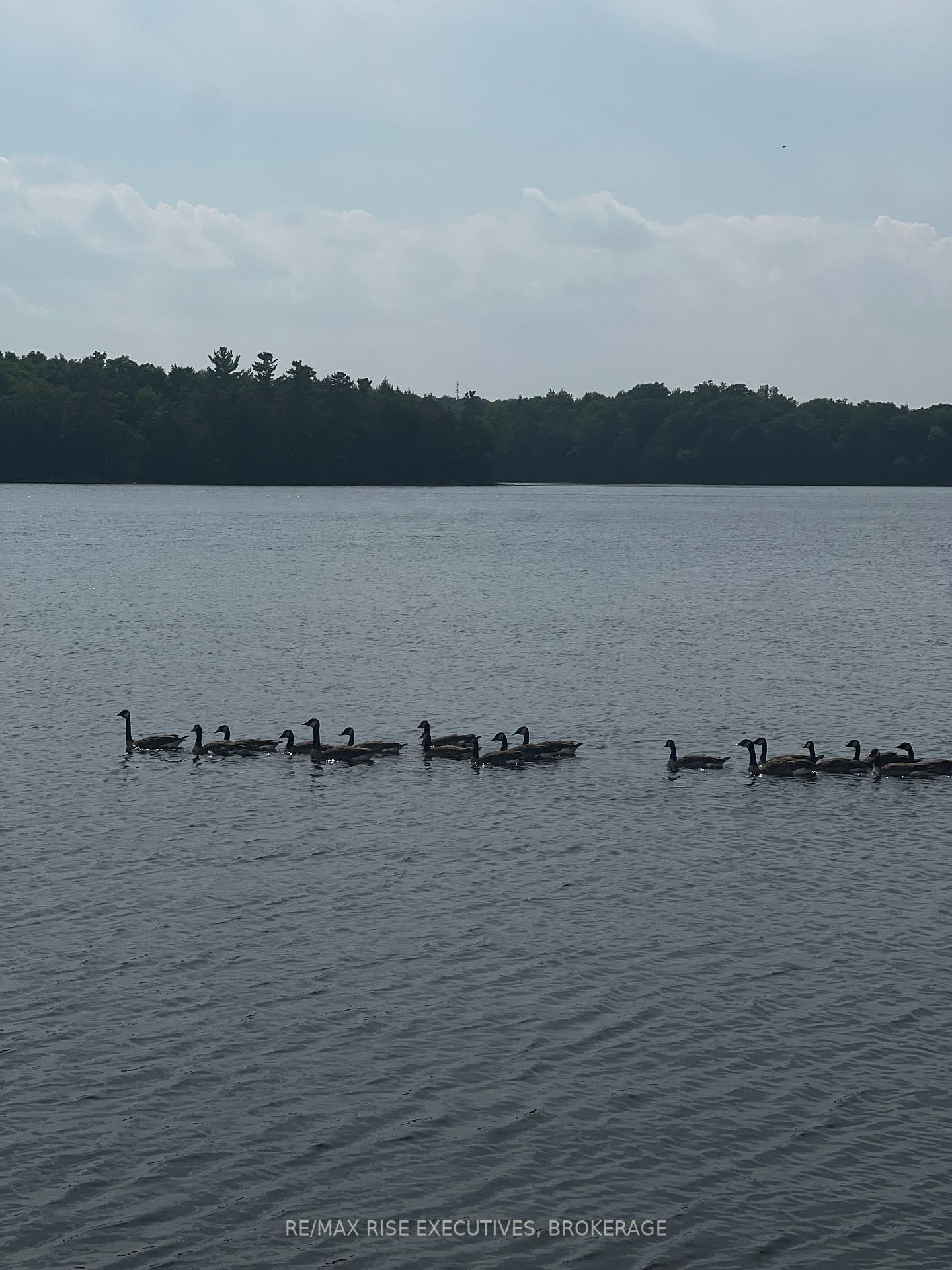 Photo 46 of PT LT 14 K&p Trail, Frontenac, Frontenac Centre — HOMEH