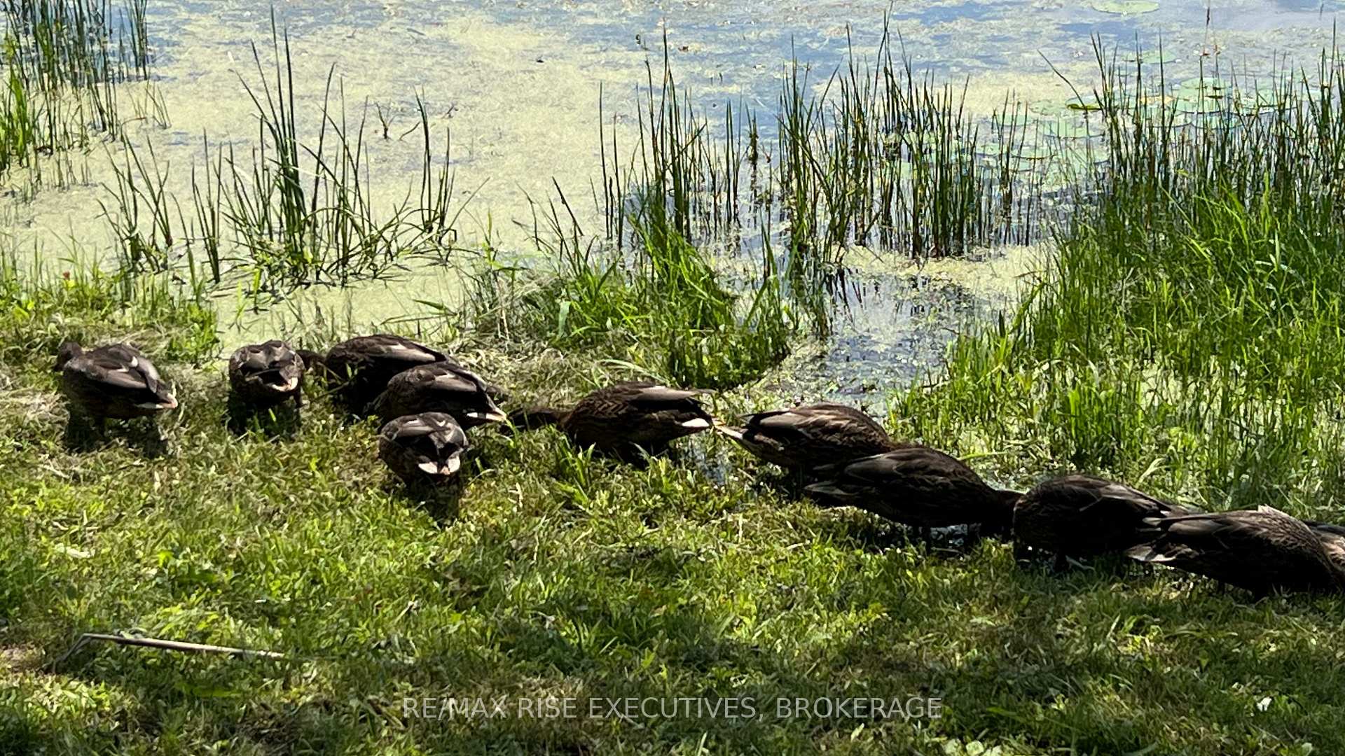 Photo 47 of PT LT 14 K&p Trail, Frontenac, Frontenac Centre — HOMEH