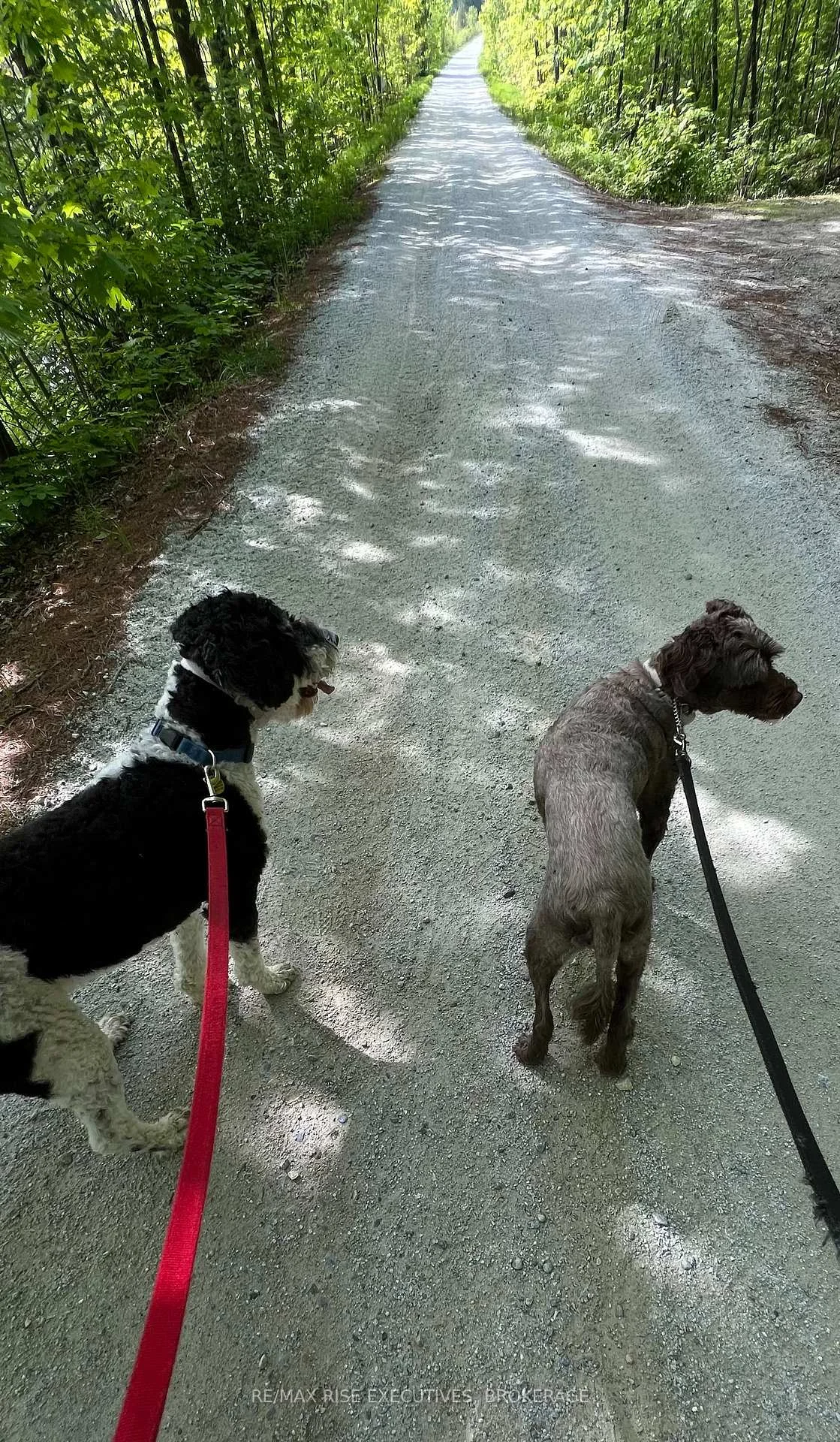 Photo 41 of PT LT 14 K&p Trail, Frontenac, Frontenac Centre — HOMEH