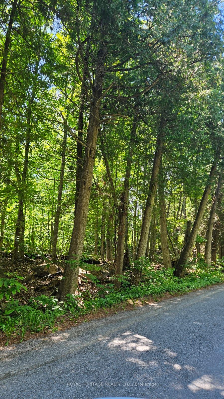 Photo 2 of 21-B Mill Line Road, Trent Lakes — HOMEH