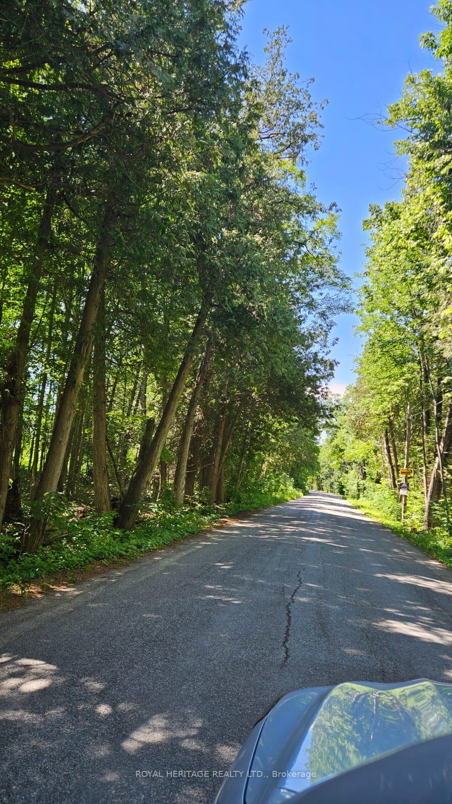 Photo 3 of 21-B Mill Line Road, Trent Lakes — HOMEH