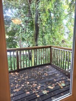 Photo 3 of Unit 3, 129 Walmer Road, Toronto, The Annex — HOMEH