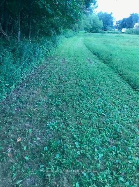Photo 38 of 24909 Queens Line, West Elgin, Rural West Elgin — HOMEH