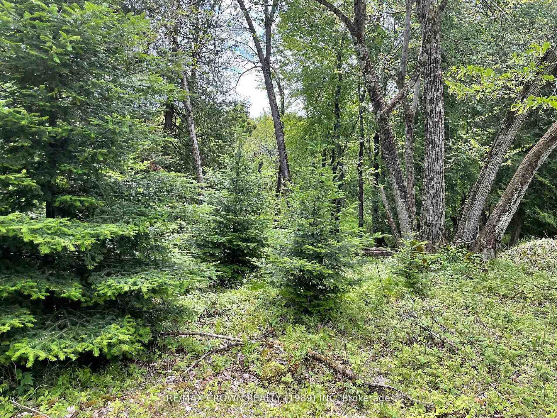Photo 13 of LOT 4 Smith Island, Callander — HOMEH