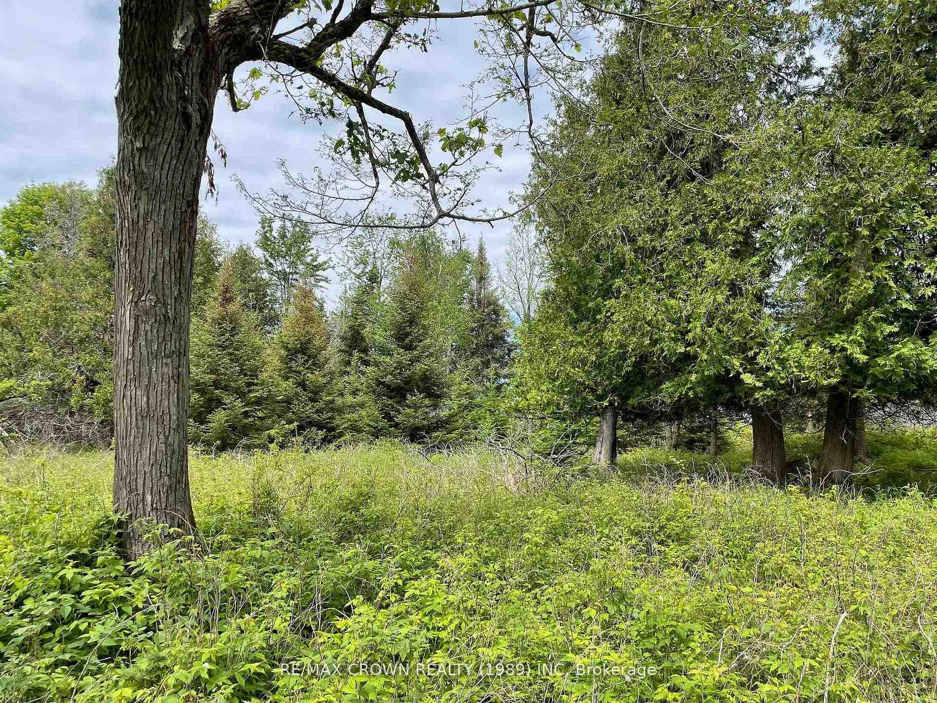 Photo 15 of LOT 4 Smith Island, Callander — HOMEH