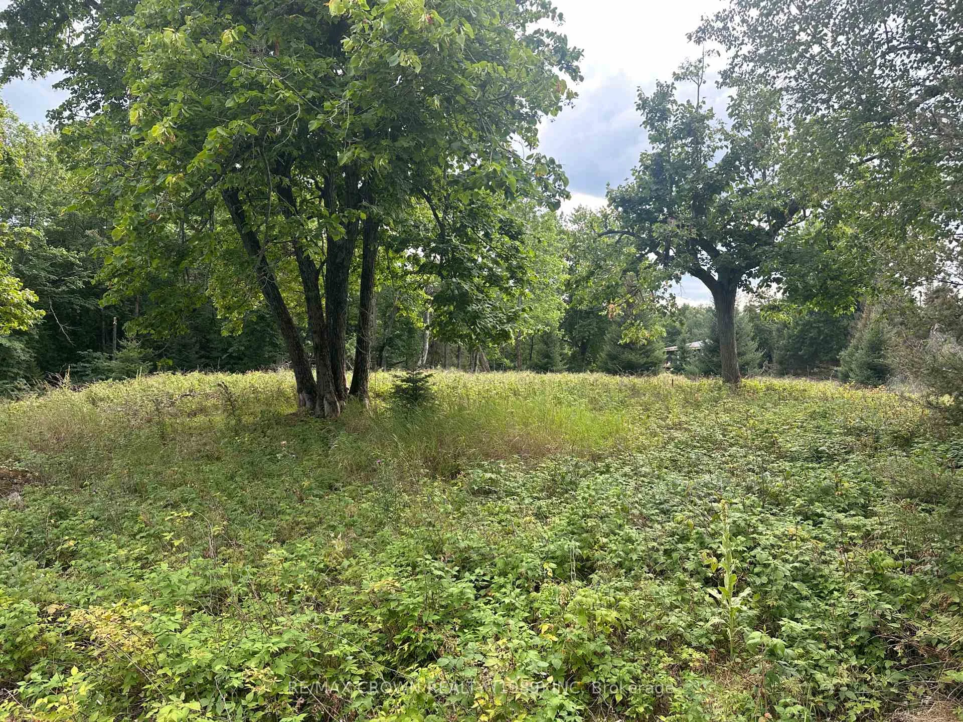 Photo 26 of LOT 4 Smith Island, Callander — HOMEH