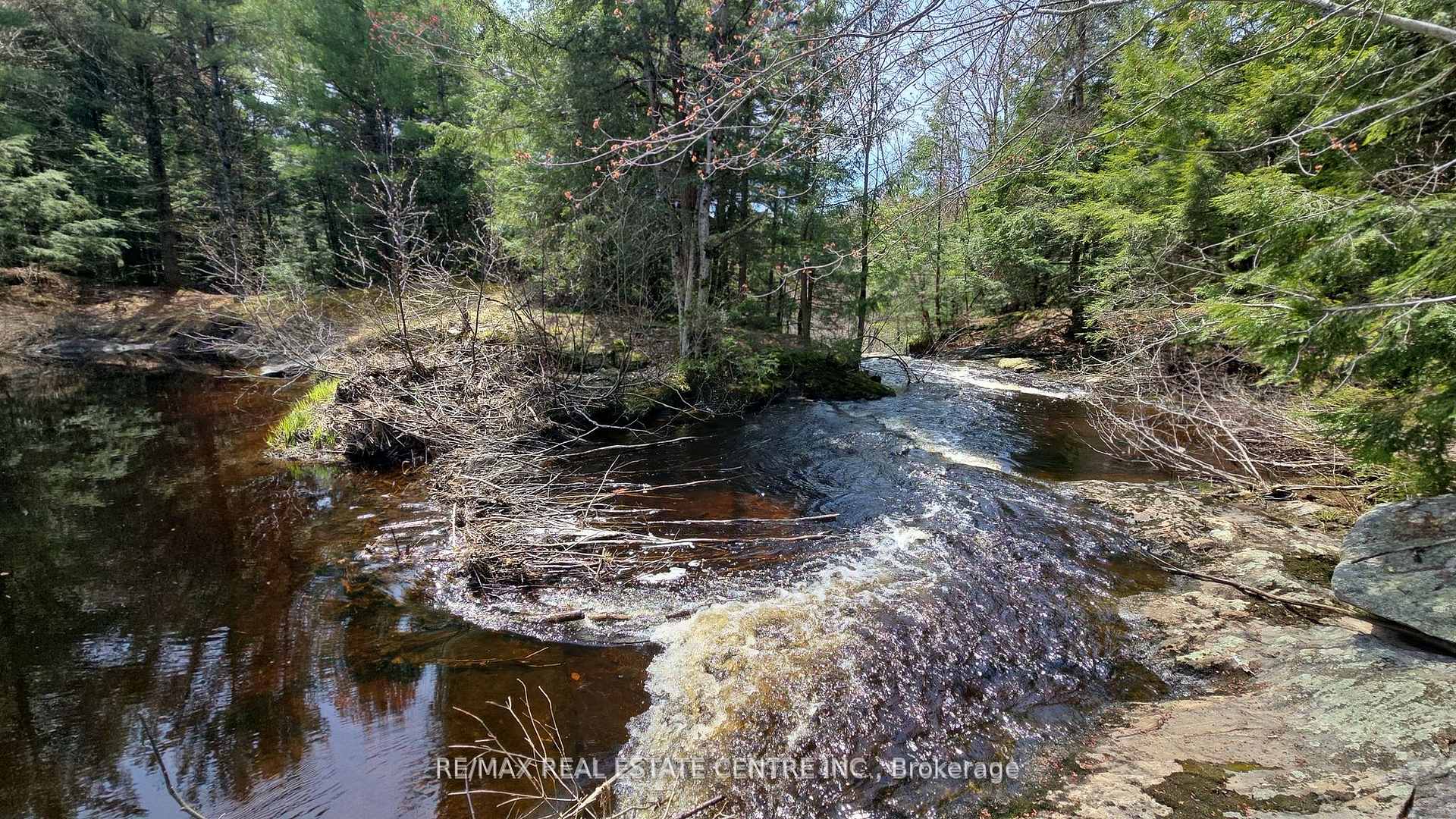 Photo 5 of 1033 North Shore Drive, Gravenhurst, Muskoka (S) — HOMEH