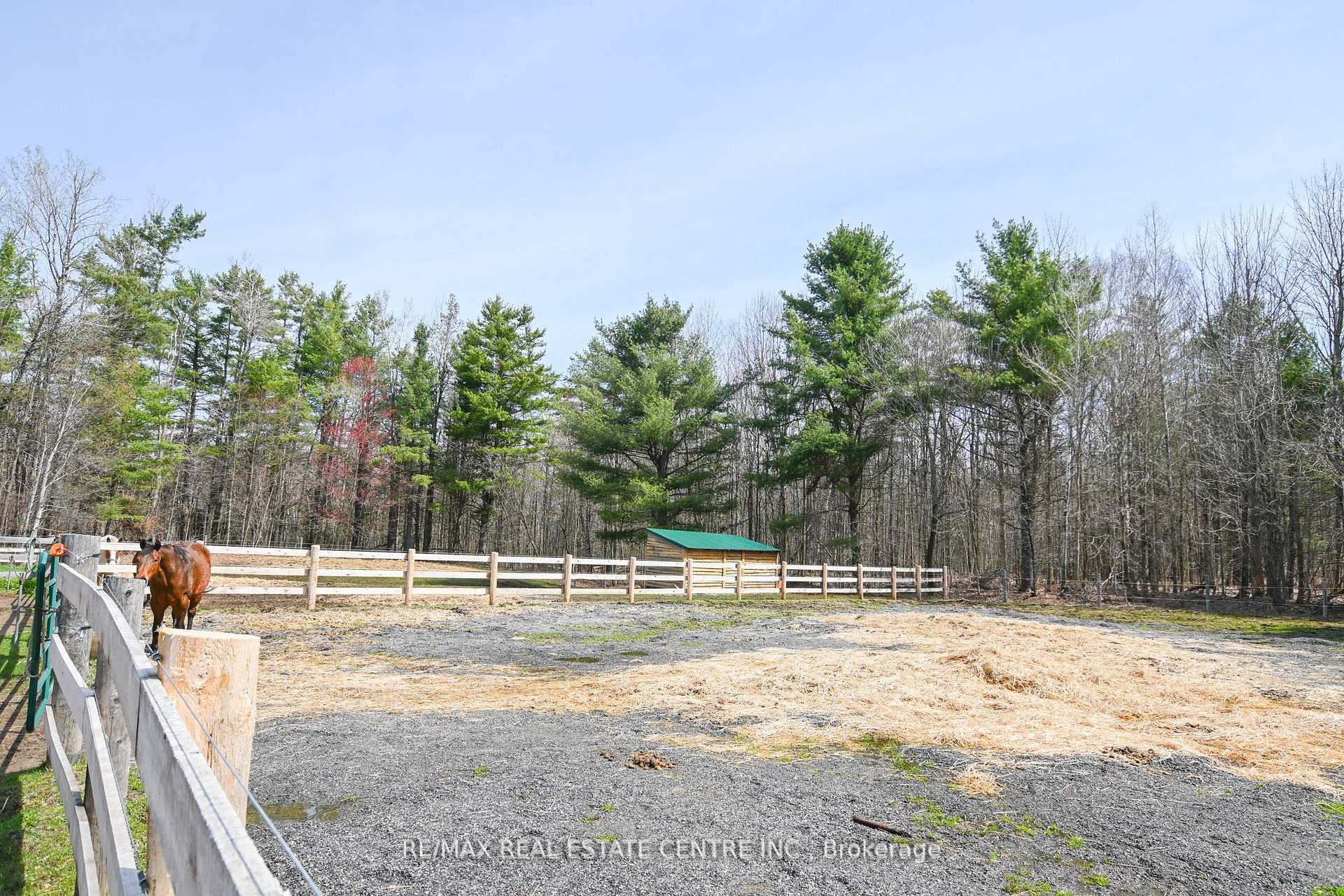Photo 30 of 1033 North Shore Drive, Gravenhurst, Muskoka (S) — HOMEH