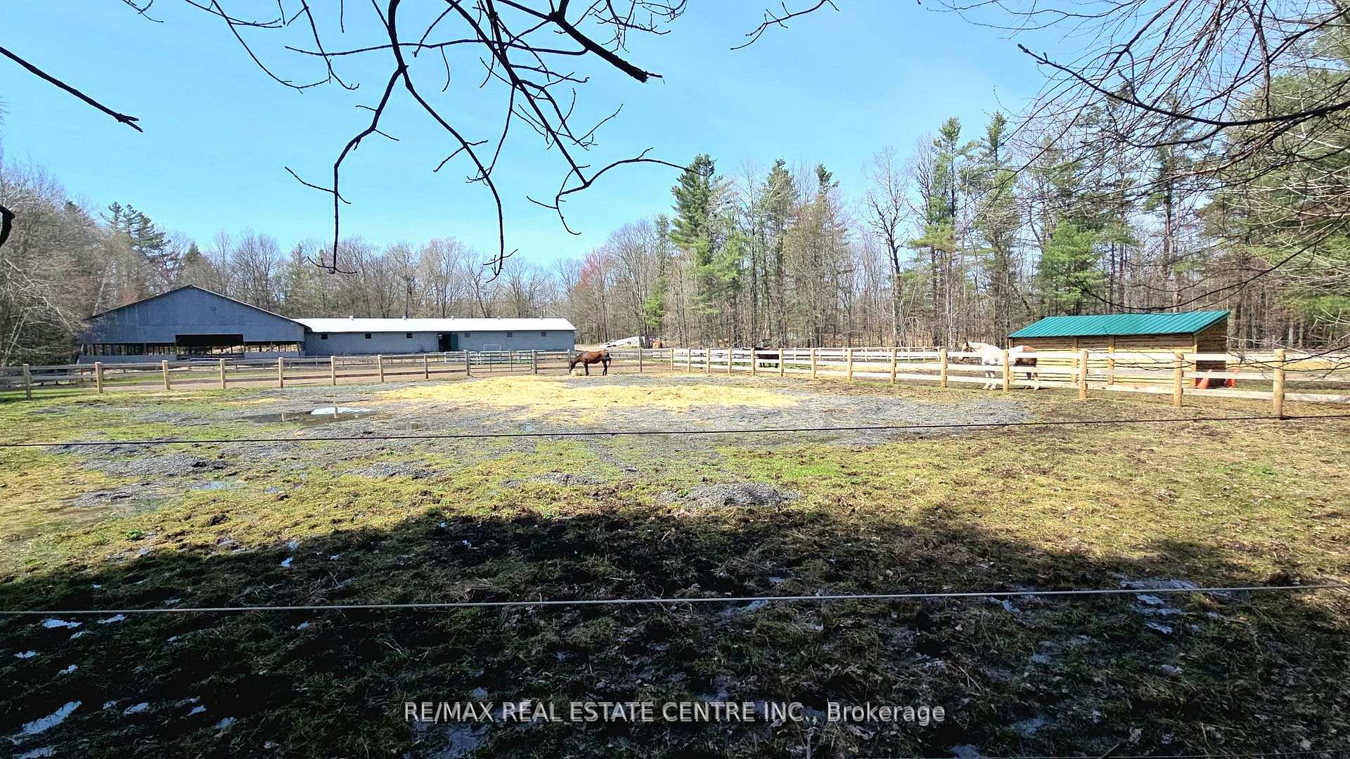 Photo 38 of 1033 North Shore Drive, Gravenhurst, Muskoka (S) — HOMEH